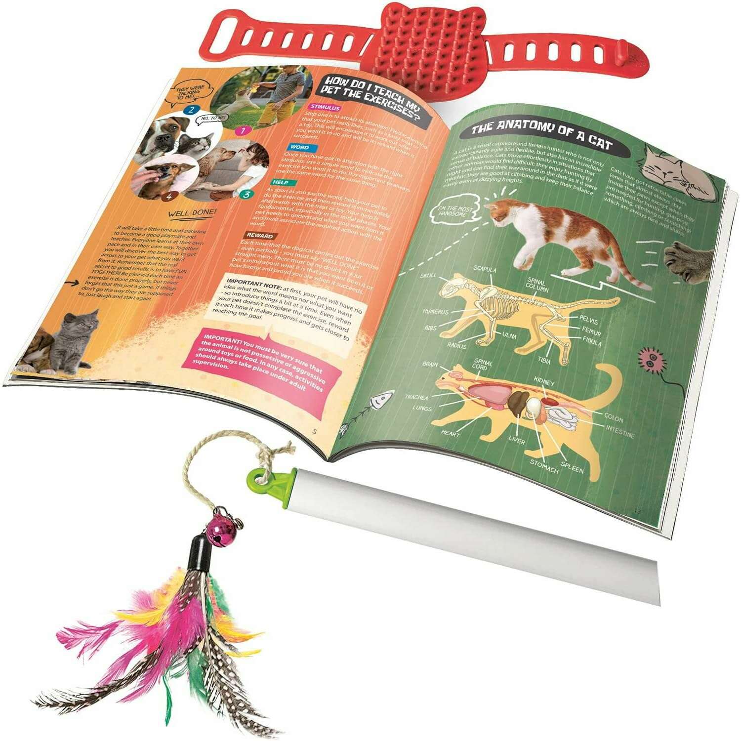 Pet Lab - EN - Medaid International