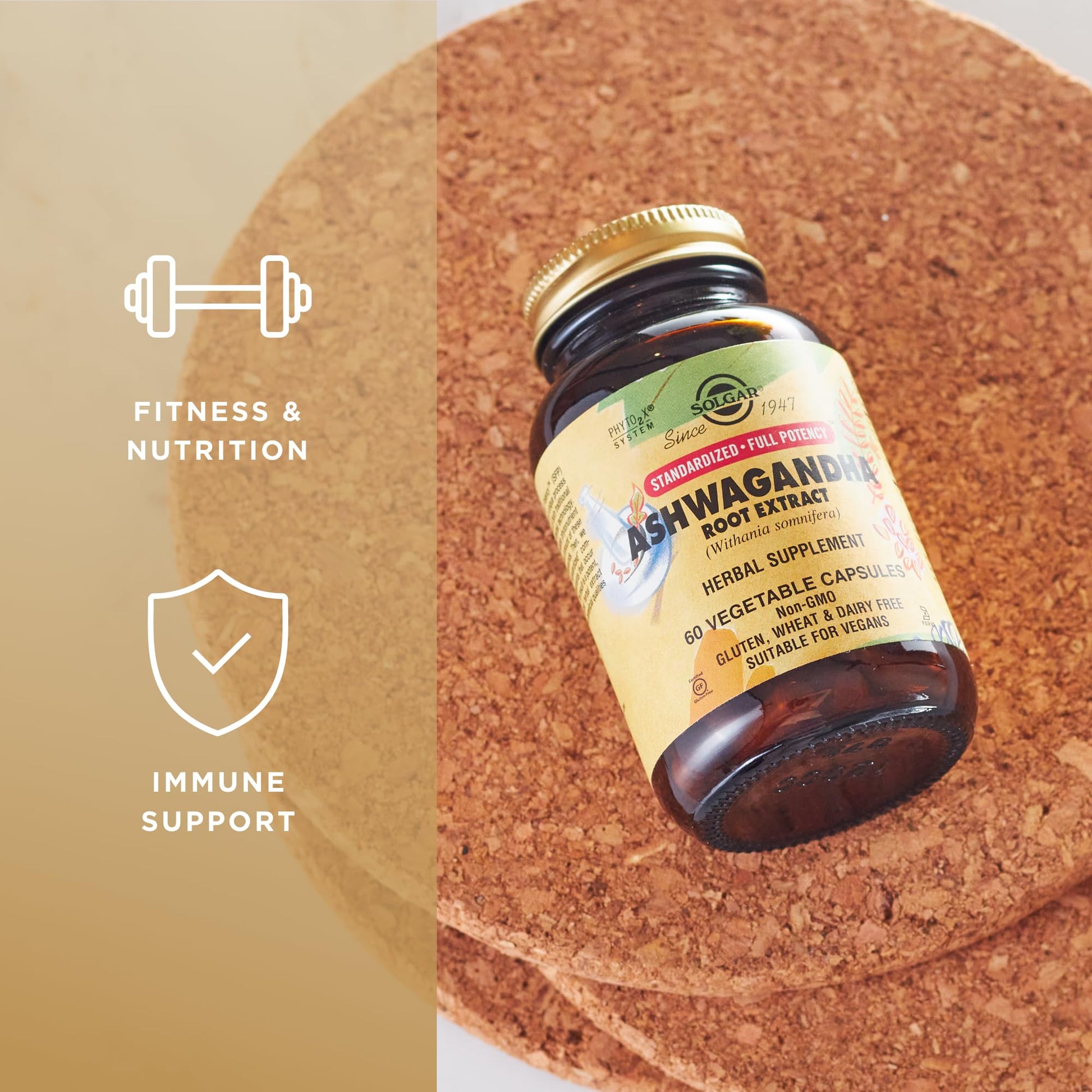 Solgar Ashwagandha Root Extract - 60 Vegetable Capsules - Standardized Full Potency (SFP) - Non-GMO, Vegan, Gluten & Dairy Free, Kosher - 60 Servings - Medaid International