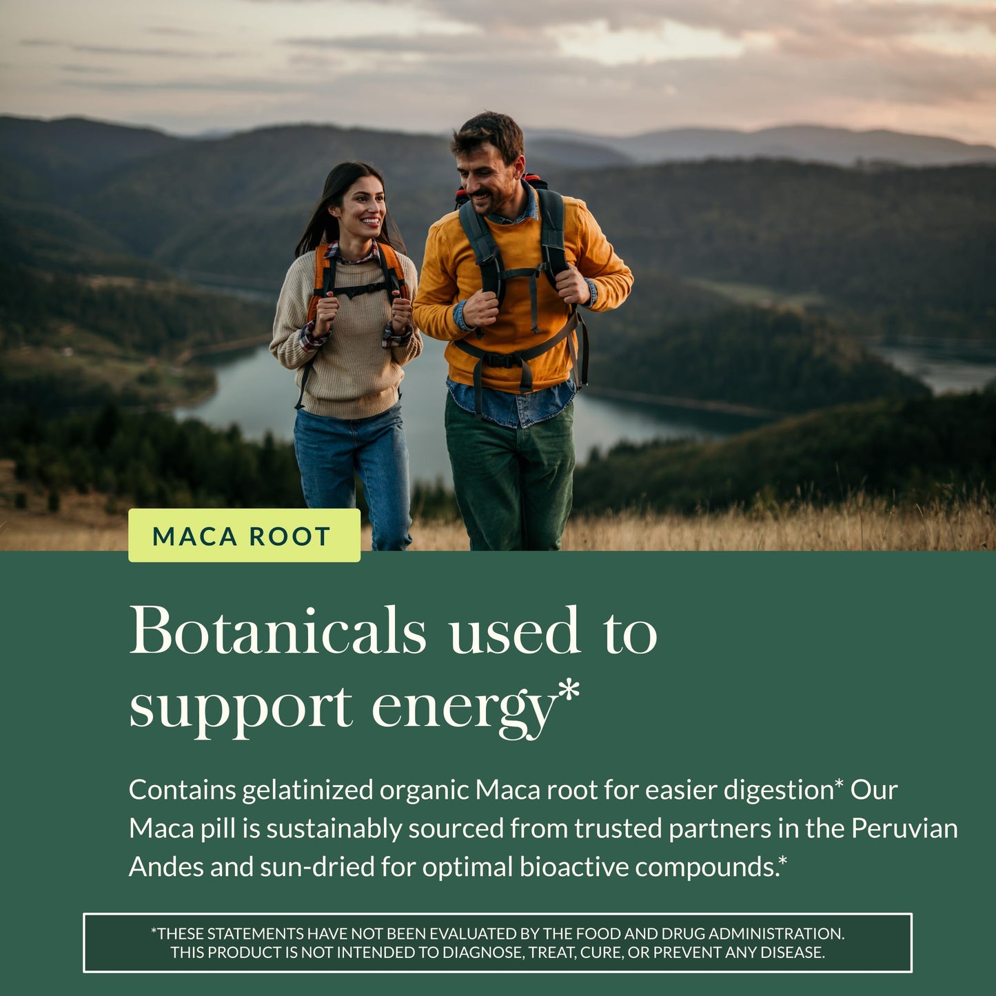 Gaia Herbs Maca Root - Caffeine-Free Natural Energy Supplement - Supports and Maintains Healthy Energy and Stamina - Made with Organic Maca Root (Lepidium meyenii) - 60 Vegan Capsules (30-Day Supply) - Medaid International