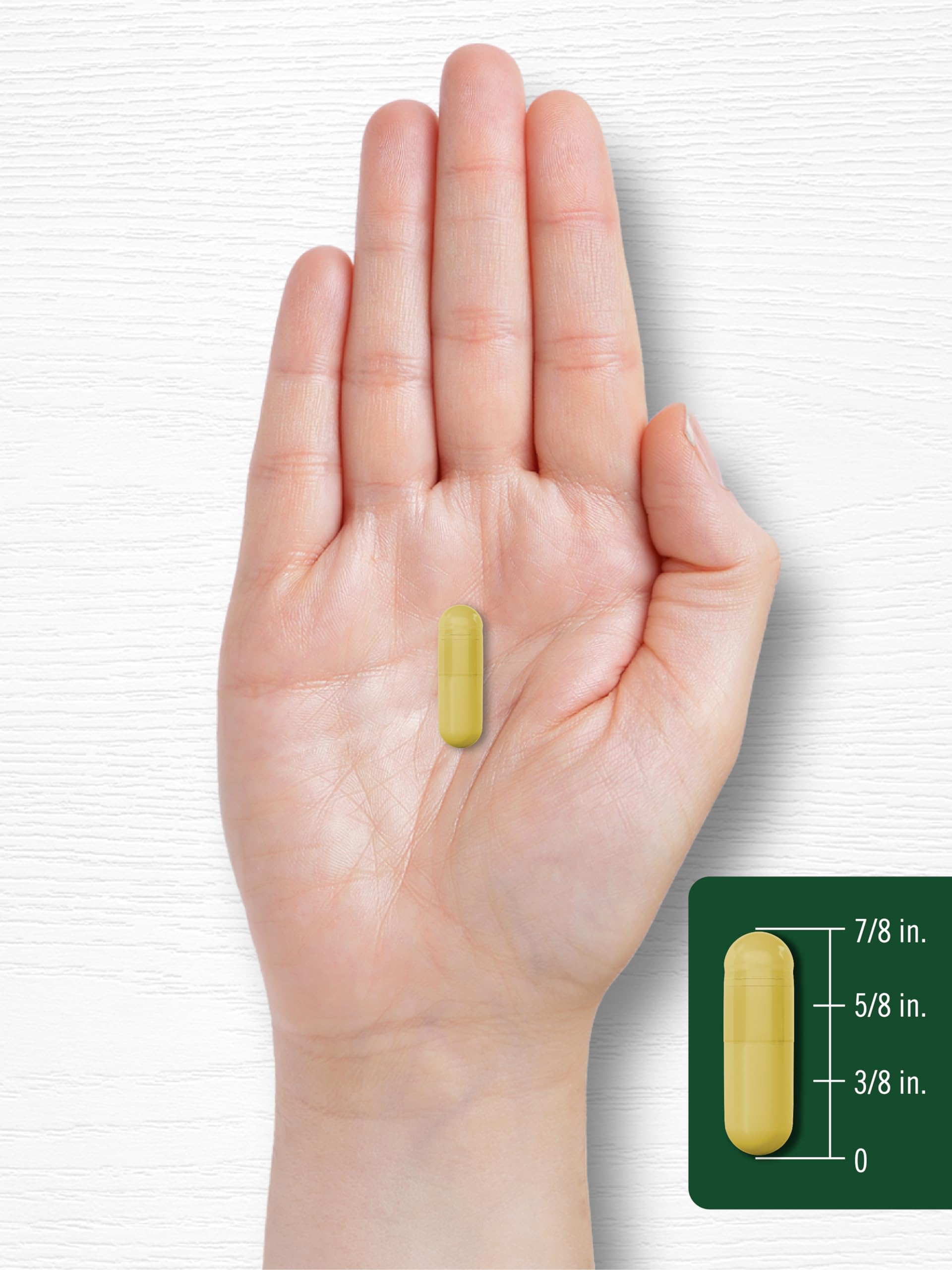 Carlyle Berberine HCL Supplement | 500,000mcg | 60 Capsules | Vegetarian, Non-GMO, Gluten Free - Medaid International