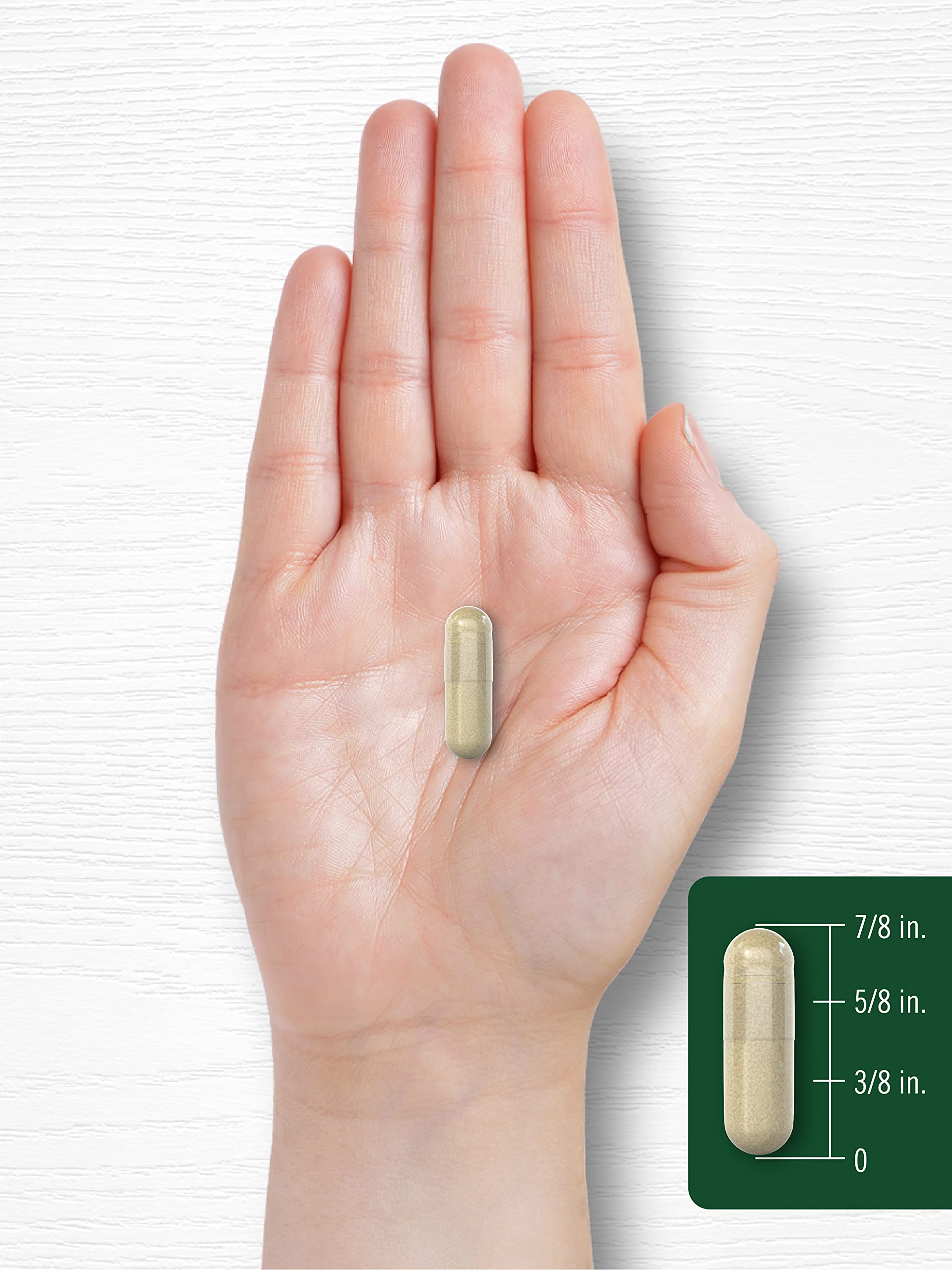 Carlyle Maca Root Capsules for Women & Men | 4800 mg | 180 Count | High Potency Extract | Non-GMO & Gluten Free Supplement - Medaid International