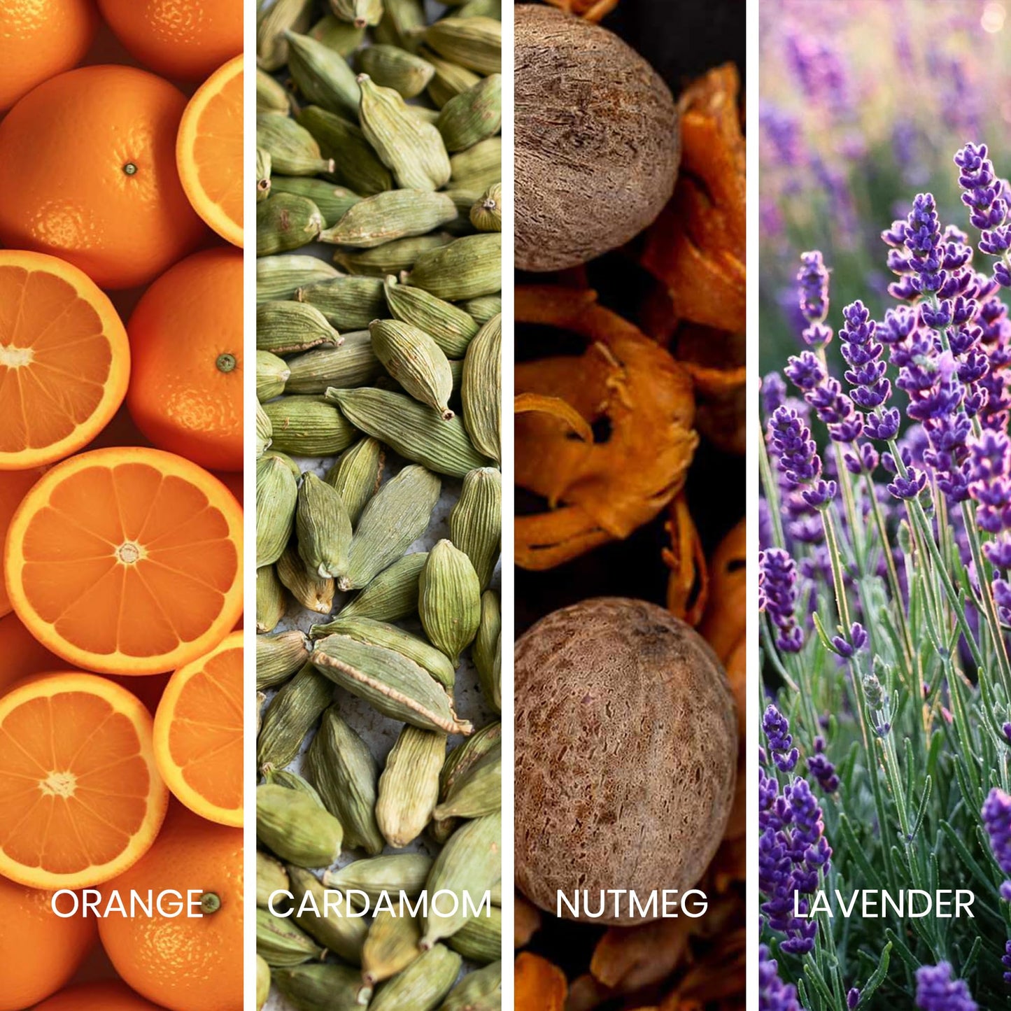 Sapil Bound Toilette for Men 3.4 Oz(100 ml) – Eau de Toilette with Long-Lasting Dubai Scent, Oriental Spicy Blend of Green Mandarin, Cardamom, Orange Blossom & Tonka Bean for Daily & Special Occasions - Medaid International