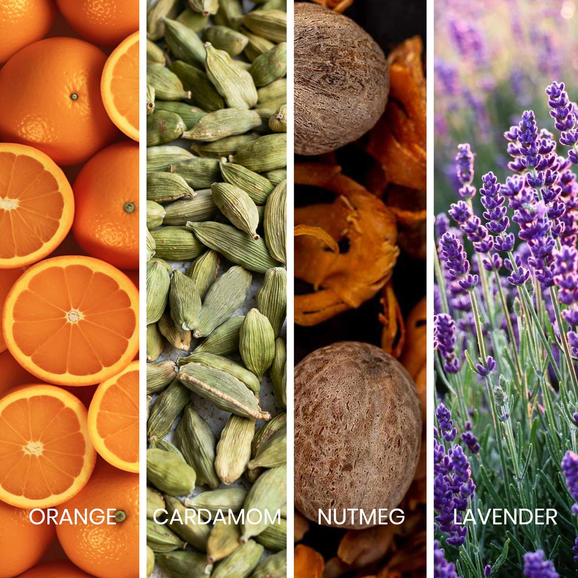 Sapil Bound Toilette for Men 3.4 Oz(100 ml) – Eau de Toilette with Long-Lasting Dubai Scent, Oriental Spicy Blend of Green Mandarin, Cardamom, Orange Blossom & Tonka Bean for Daily & Special Occasions - Medaid International