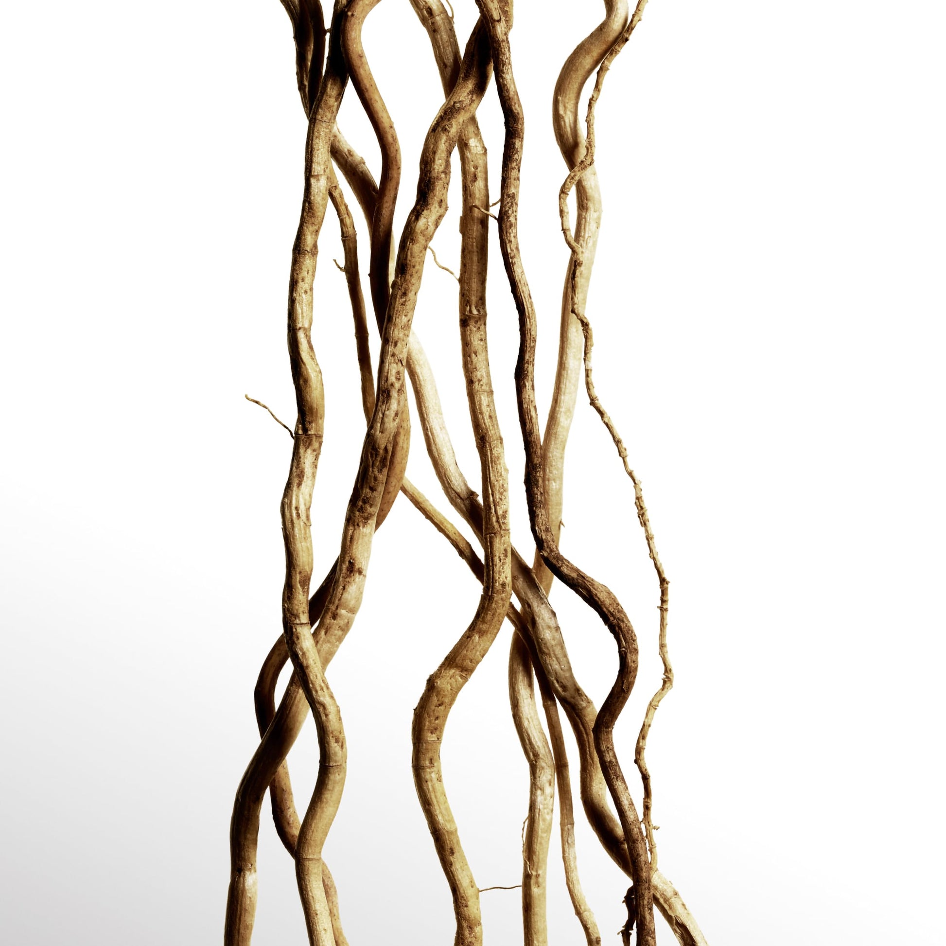 Davidoff Cool Water Odyssey Parfum 3.3 fl oz - Medaid International