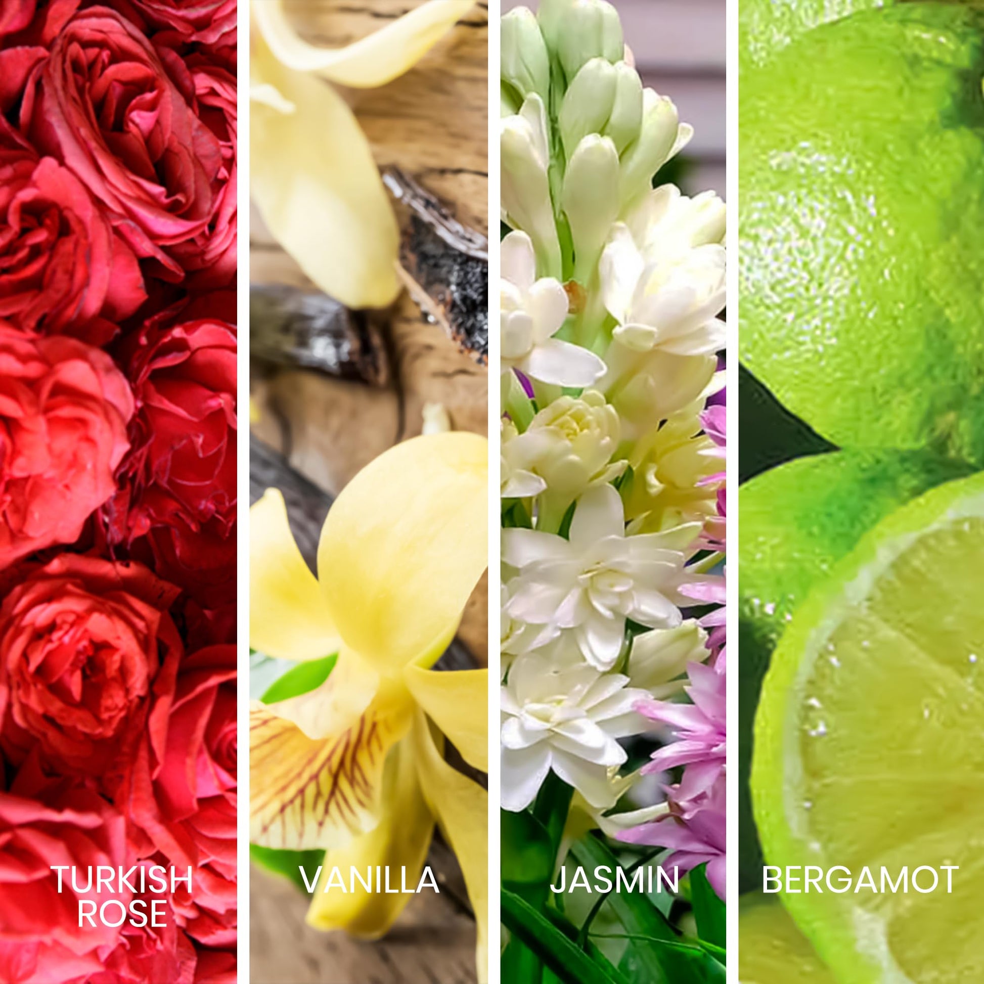 Sapil Joy Eau de Parfum for Women – Long-lasting Dubai Perfume – Fruity, Floral, Musky & Vanilla Scent – Luxurious Arabic Perfume for Women – 3.4 Oz (100 ml) – Affordable Luxury for Daily&Evening Wear - Medaid International