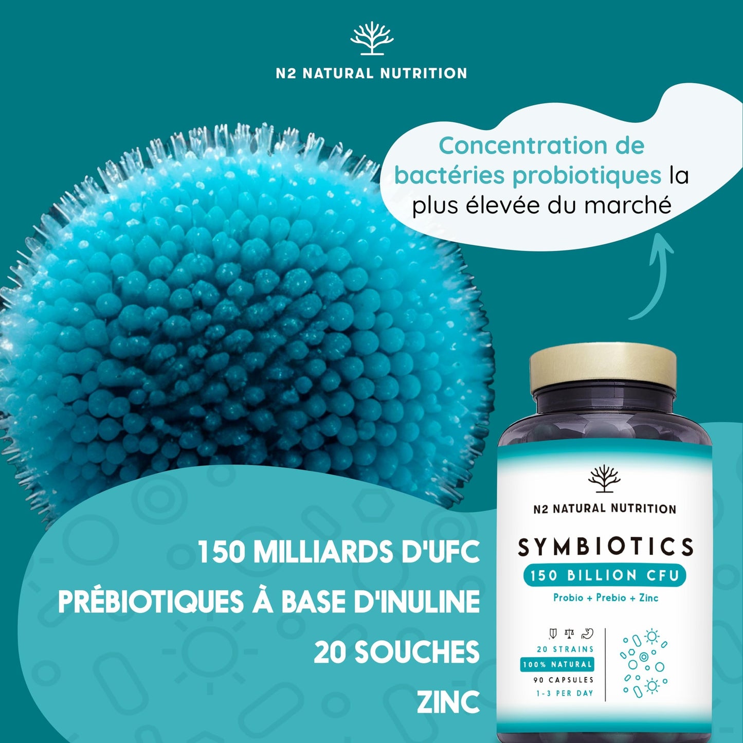 Probiotique Flore Intestinale 150 Milliards UFC, 20 Souches de Bactéries + Zinc + Inuline. Probiotiques pour la Régénération Digestive et Microbiote. 90 gélules, Végétalien. N2 Natural Nutrition - Medaid International