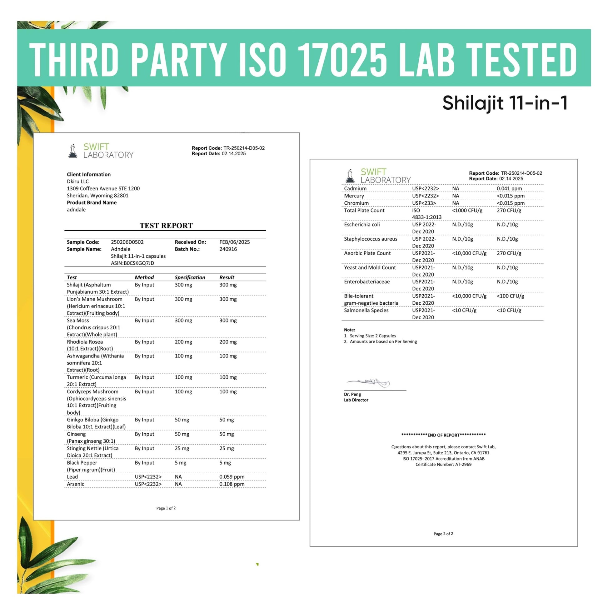 Adndale Shilajit Supplement. Pure Himalayan Organic Shilajit for Men and Women Capsules with Sea Moss Ashwagandha Rhodiola Rosea Lion’s Mane. 90 Count - Medaid International