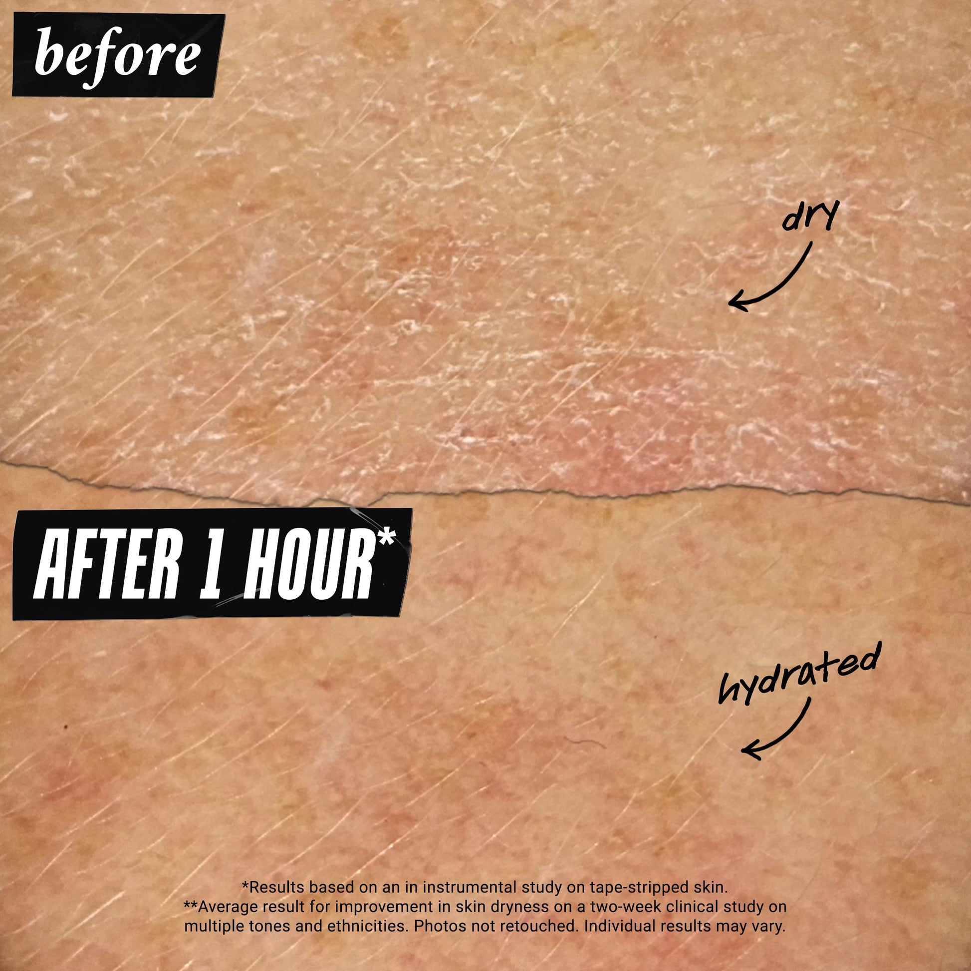 Kiehl's Ultra Facial Cream, with 4.5% Squalane to Strengthen Skin's Moisture Barrier, Skin Feels Softer and Smoother, Long-Lasting Hydration, Easy and Fast-Absorbing, All Skin Types - 1.7 fl oz - Medaid International