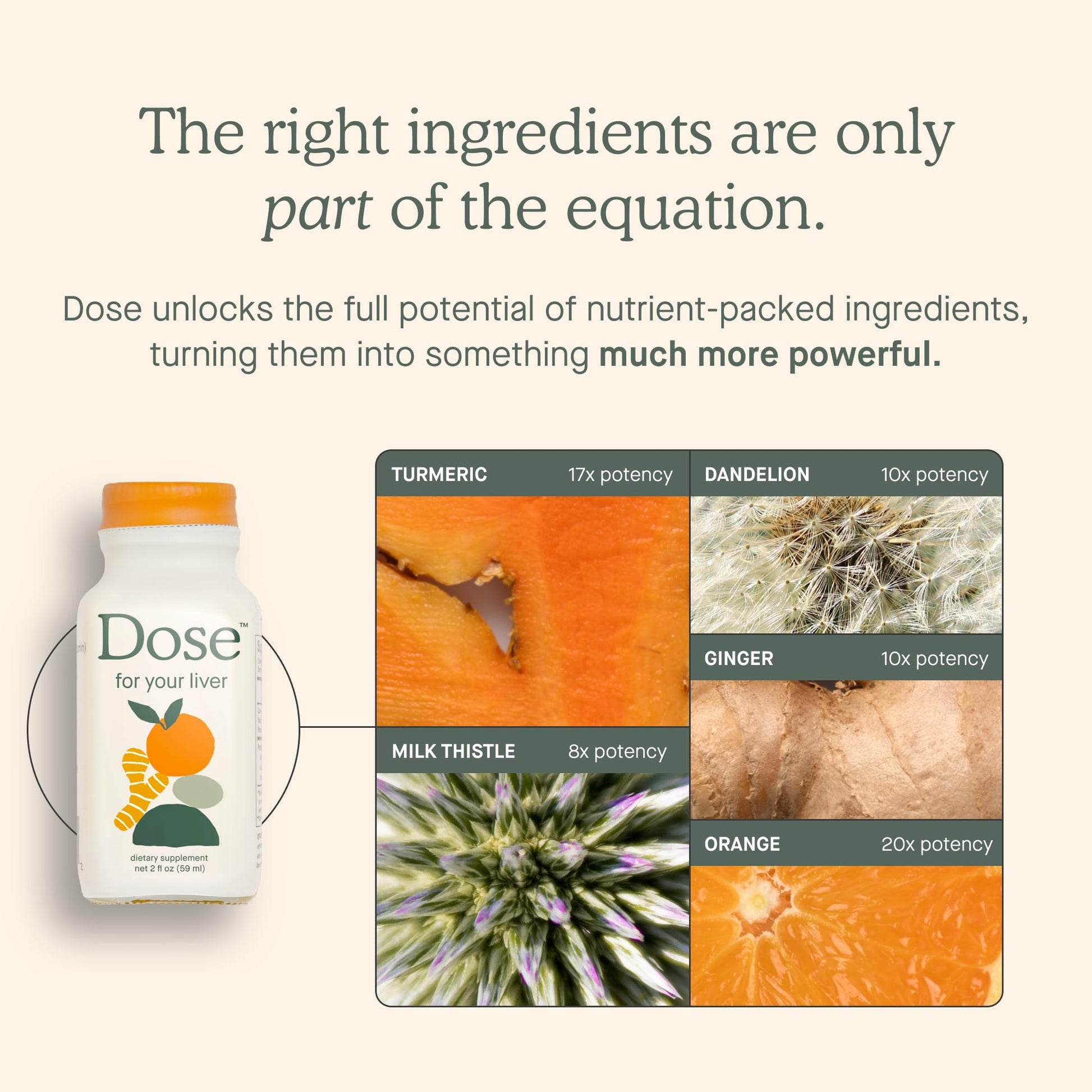 DOSE for Your Liver Cleanse Detox & Repair, Organic Milk Thistle Supplement with Turmeric, Dandelion, Ginger, and Orange, Promotes Optimal Liver Function,16oz Bottle, 3 Pack (3 Weeks Supply) - Medaid International