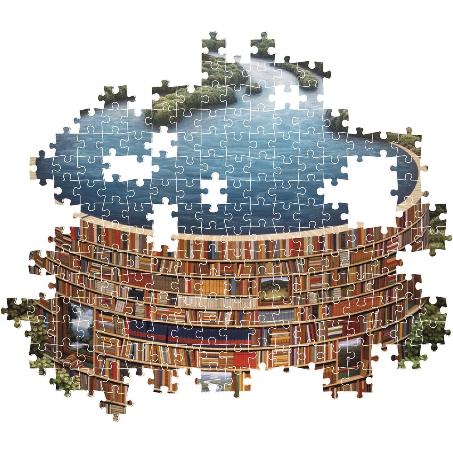 Bibliodame - Medaid International