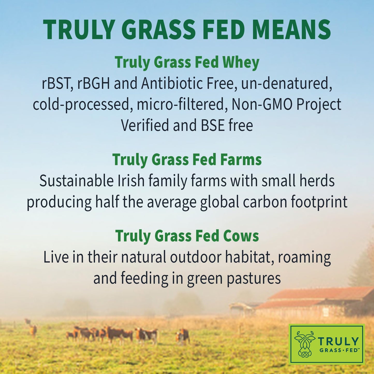 Garden Of Life, Protein Powder Sport Whey Grass Fed Vanilla, 23 Ounce - Medaid International