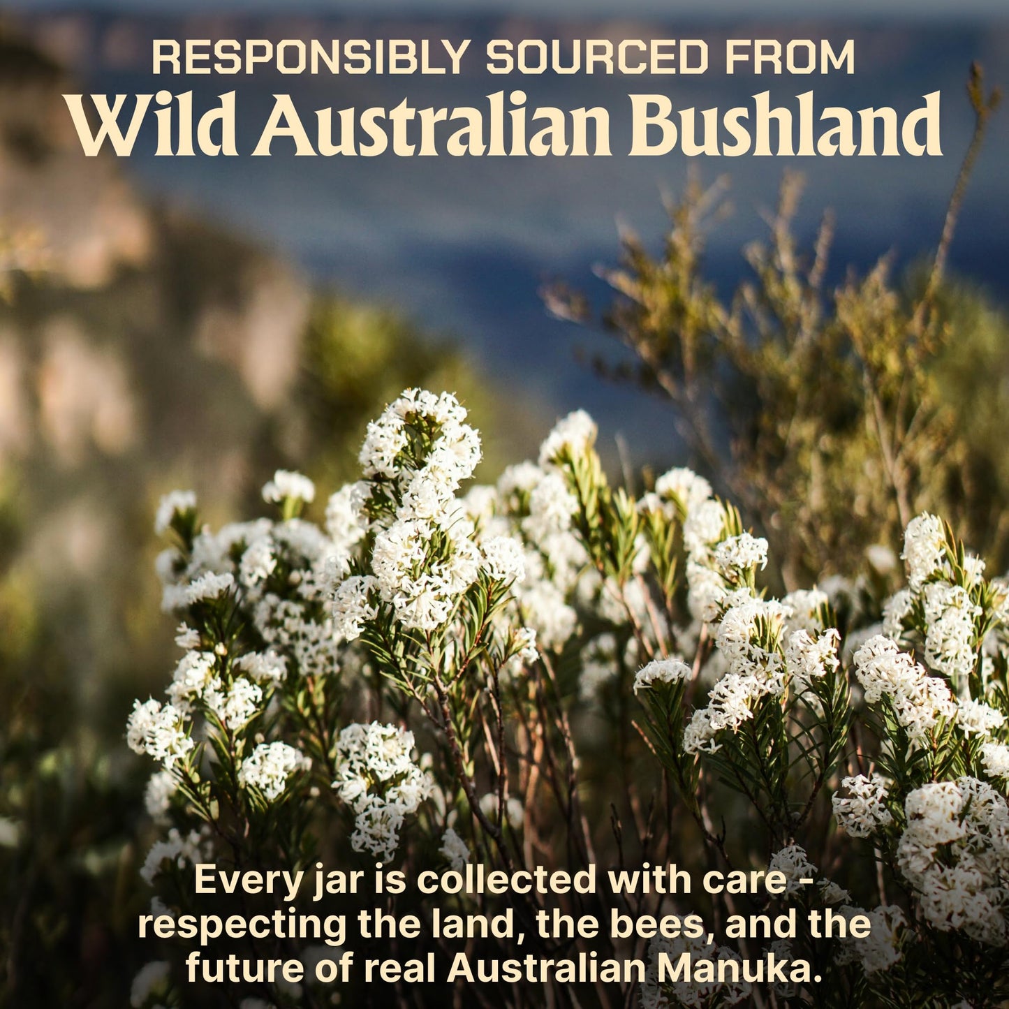 Caramanuka Manuka Honey MGO 1495+ / 100% Raw, Pure, Unfiltered & Unpasteurized, 3rd Party Tested, Ultra-Potent, Glyphosate-Free, Australian Premium Manuka Honey - Medaid International