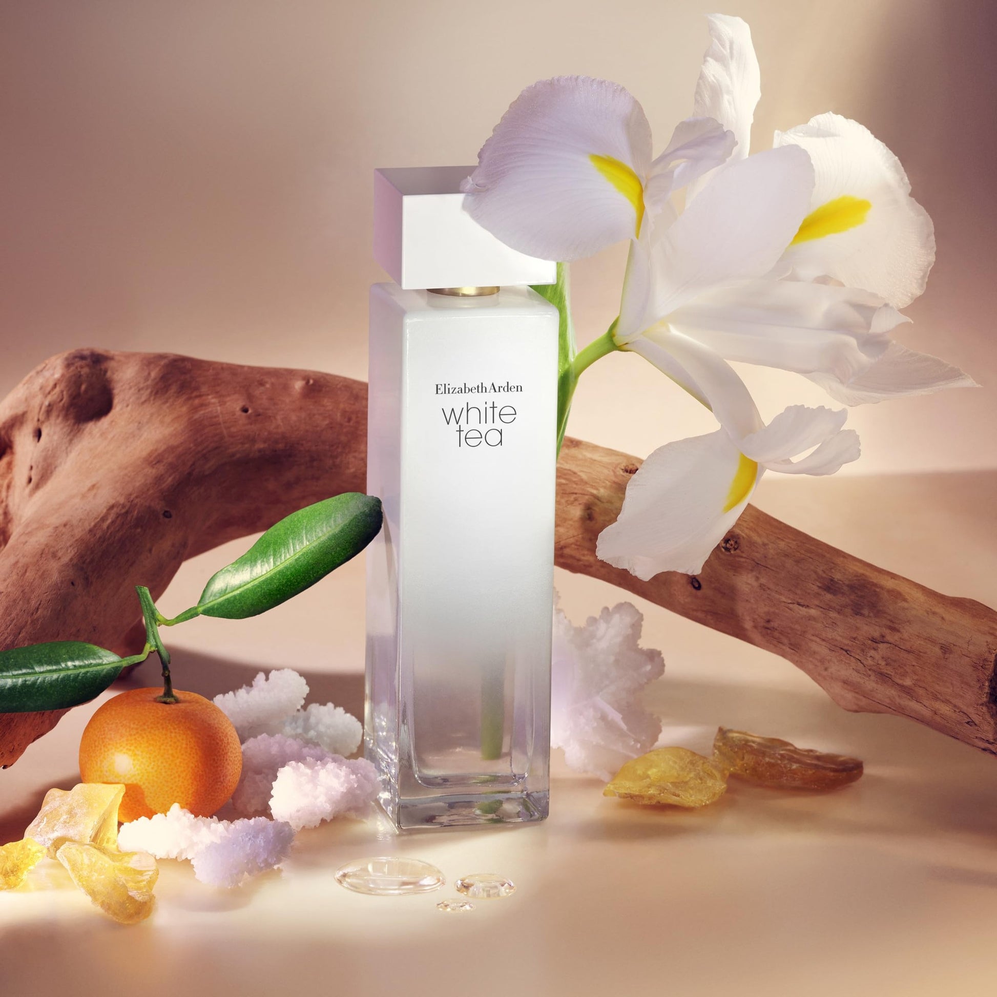 Elizabeth Arden White Tea Eau de Toilette Spray, Perfume for Women with Notes of Clary Sage, White Iris, Musk, Woody & Floral, 1 fl oz - Medaid International