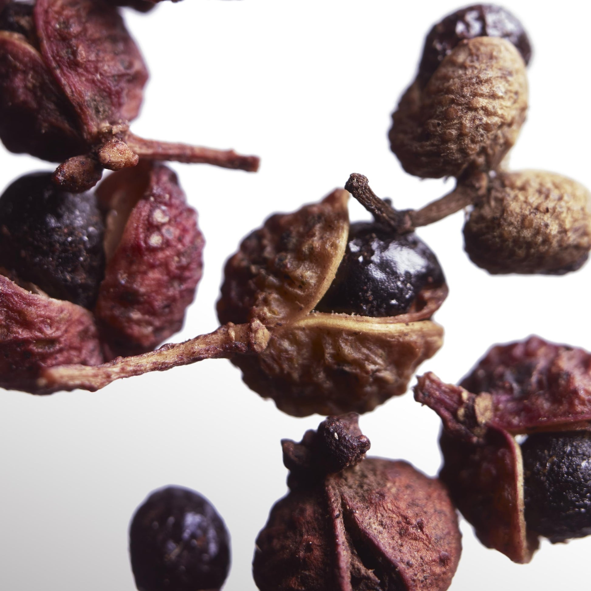 Davidoff Cool Water Odyssey Parfum 3.3 fl oz - Medaid International