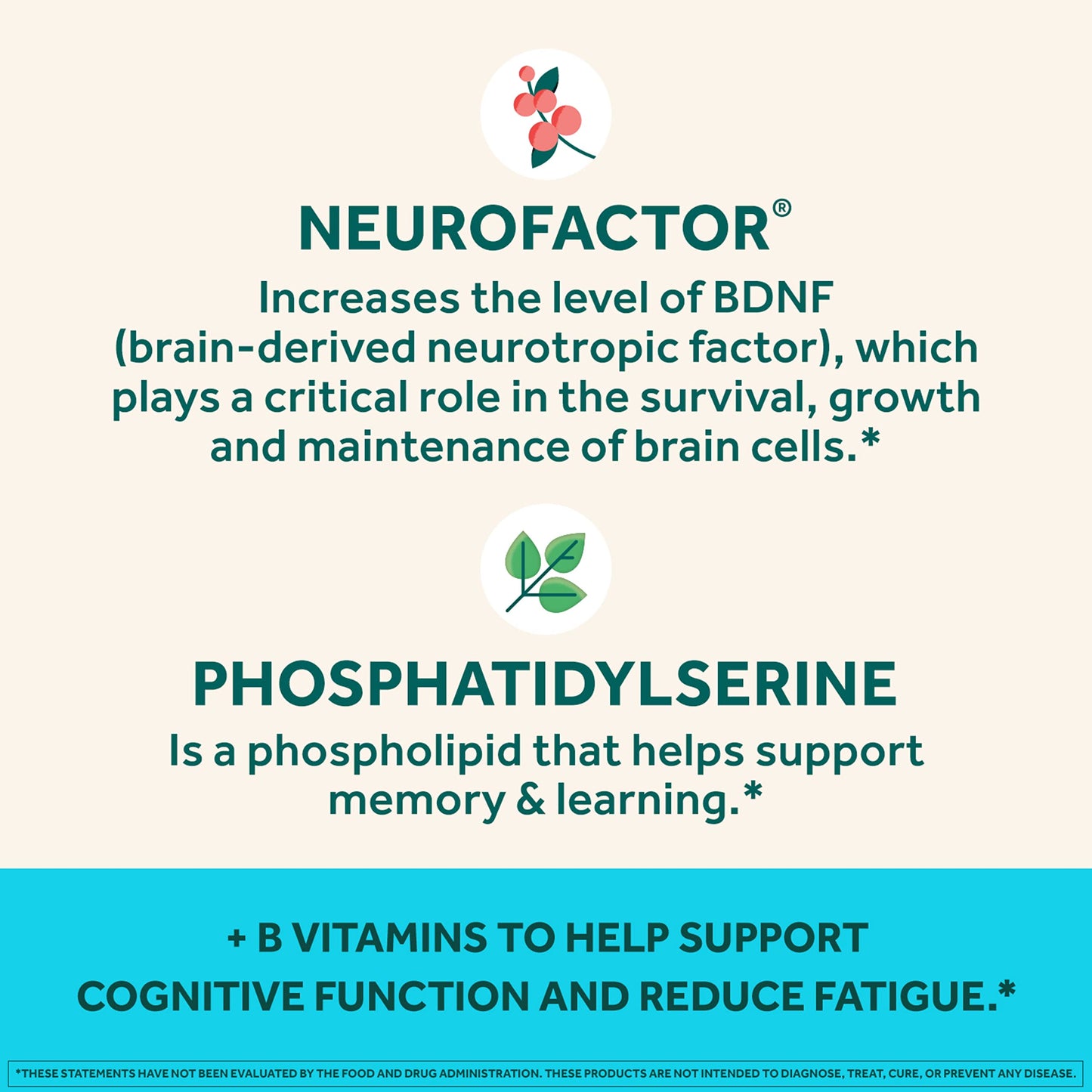 NEURIVA Plus Brain Supplement for Memory,Focus & Concentration+Cognitive Function with Vitamins B6 & B12 and Clinically Tested Nootropics Phosphatidylserine and Neurofactor,50ct Strawberry Gummies - Medaid International