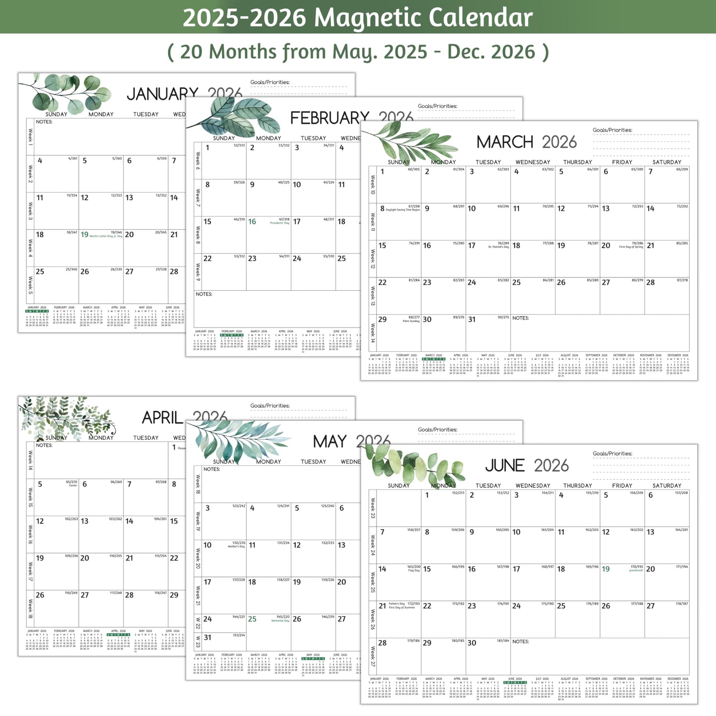2025-2026 Magnetic Calendar for Refrigerator - Run Now to Dec 2026, 11'' x 8.5'', 2026 Monthly Calendar with Strong Magnets, Thicker Paper, Hard Cardboard, Priorities ＆ Notes, Yearly Overview - Medaid International