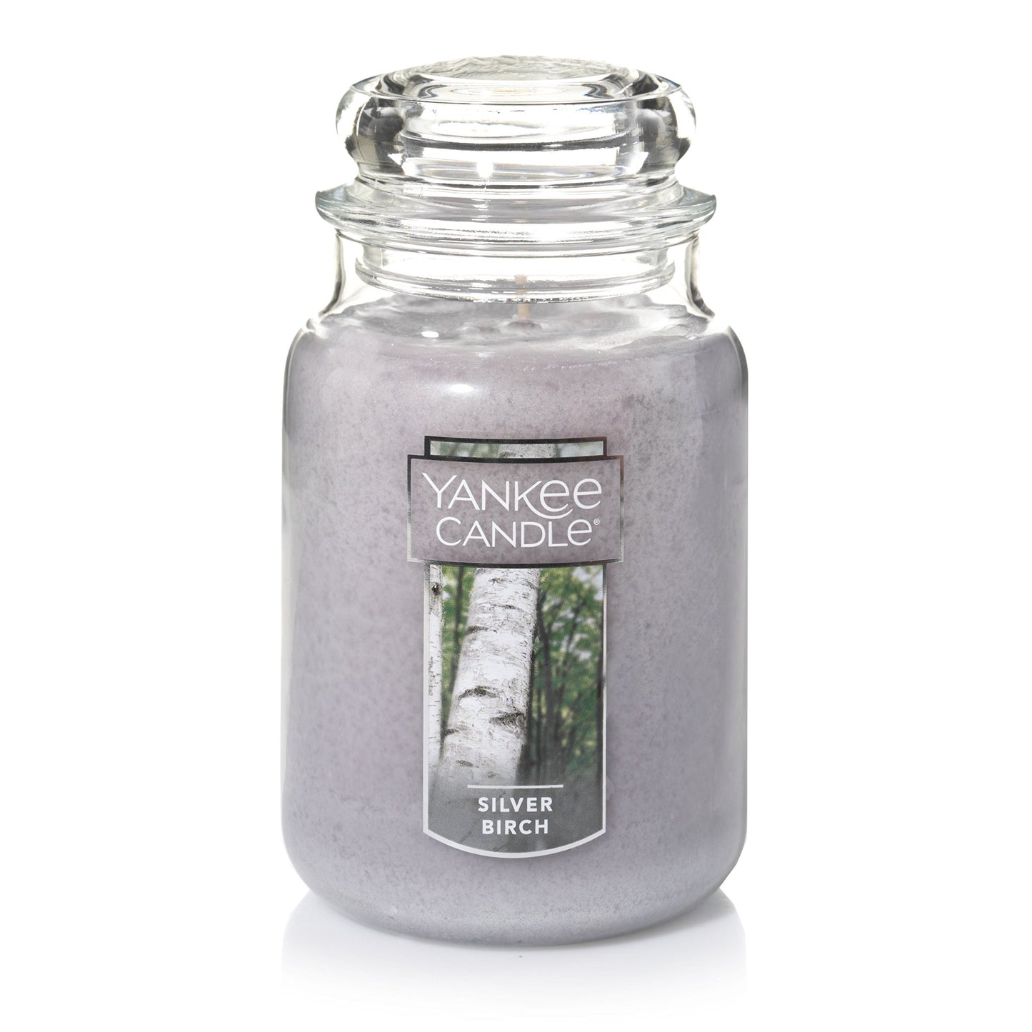 Yankee Candle Silver Birch Scented, Classic 22oz Large Jar Single Wick Aromatherapy Candle, Over 110 Hours of Burn Time, Apothecary Jar Fall Candle, Autumn Candle Scented for Home - Medaid International