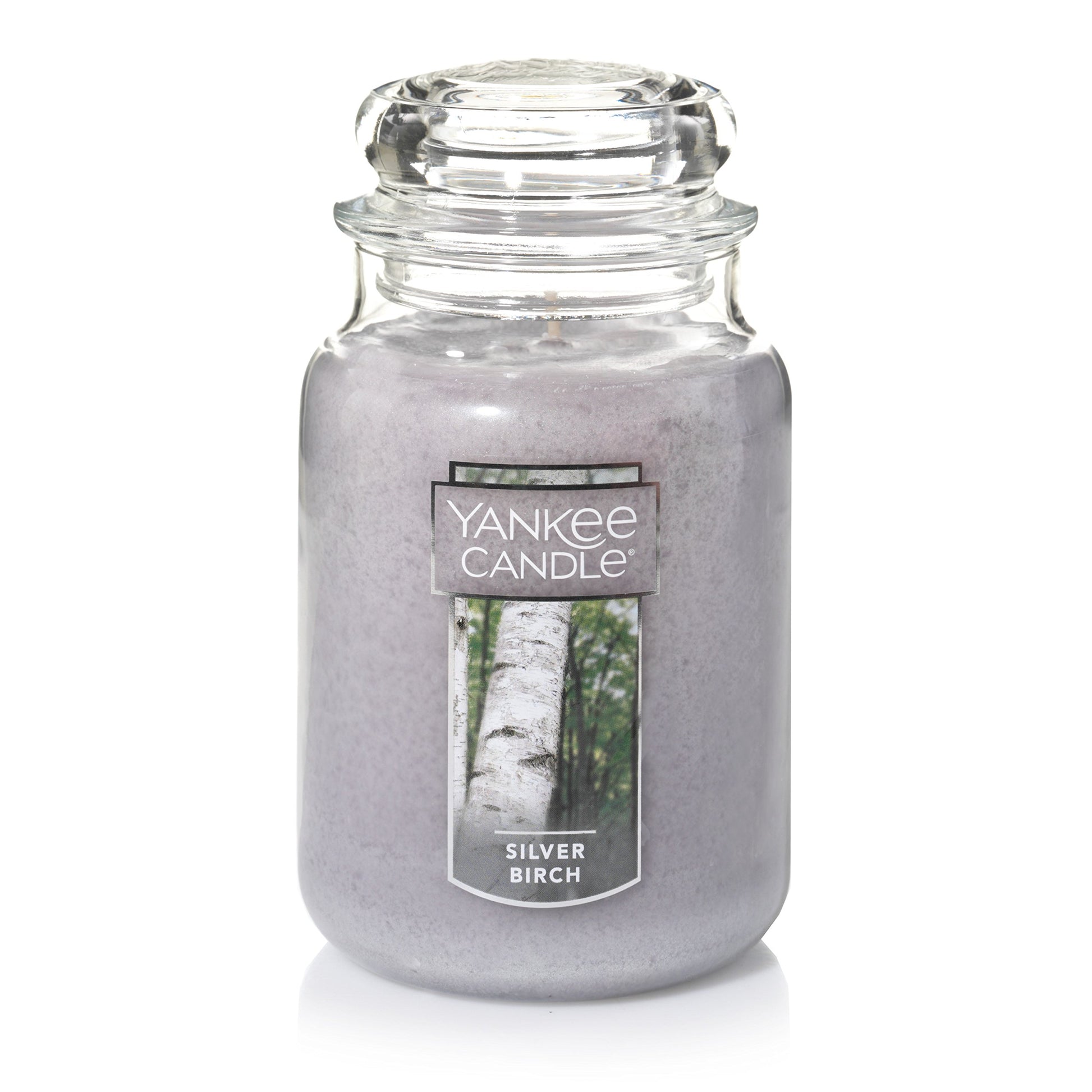 Yankee Candle Silver Birch Scented, Classic 22oz Large Jar Single Wick Aromatherapy Candle, Over 110 Hours of Burn Time, Apothecary Jar Fall Candle, Autumn Candle Scented for Home - Medaid International