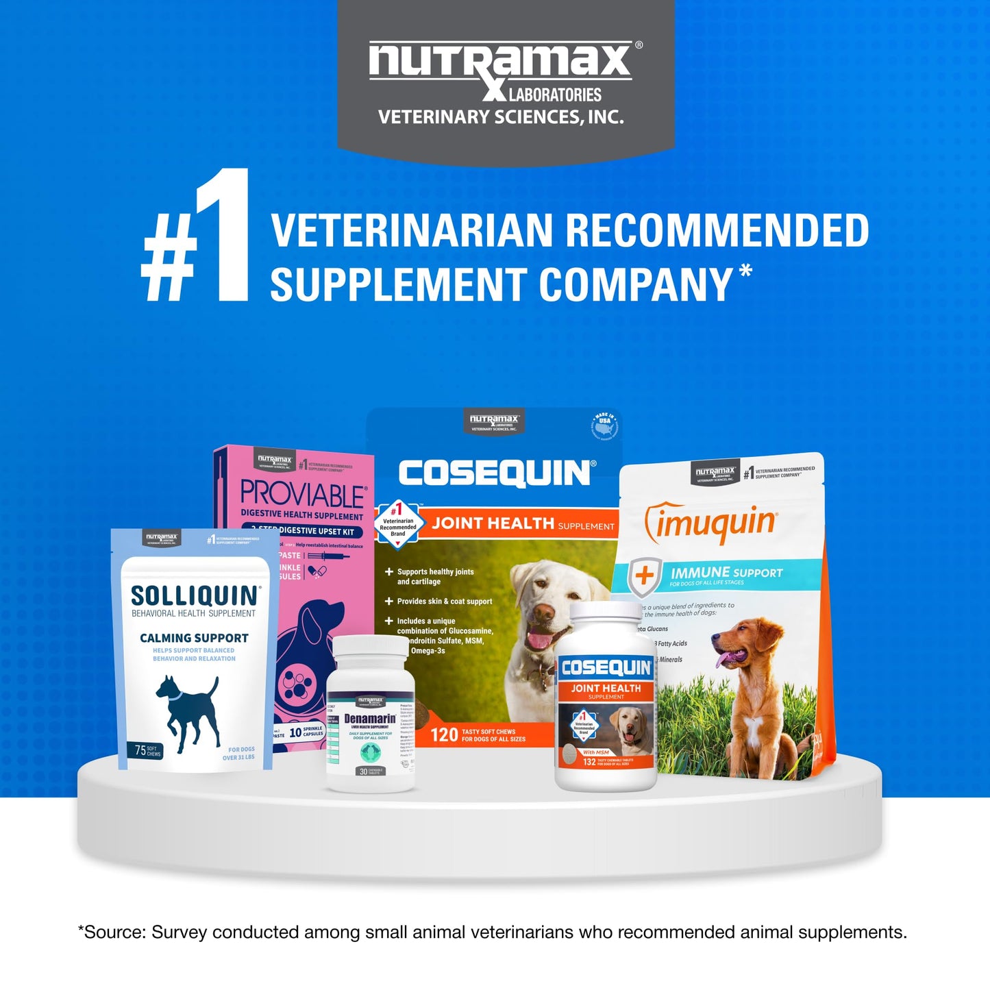 Nutramax Cosequin for Dogs Joint Health Supplement, Contains Glucosamine for Dogs, Plus Chondroitin and MSM, Supports Healthy Joints, For All Breeds and Sizes, Chewable Tablets, 132 Count - Medaid International