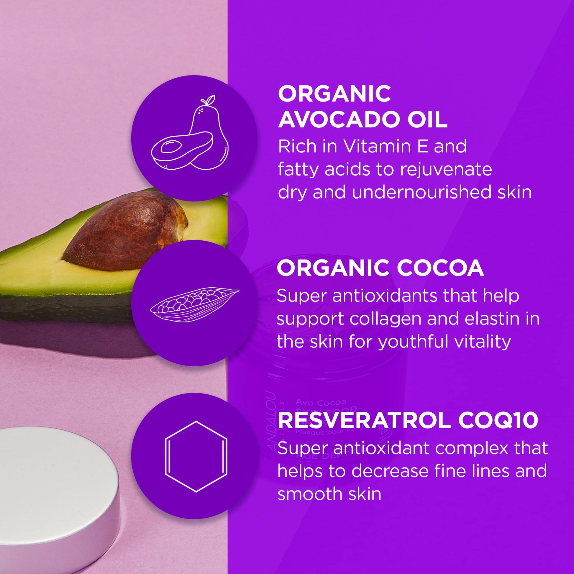 Andalou Naturals Facial Mask, Avo Cocoa Skin Food, 1.7 Ounce - Medaid International