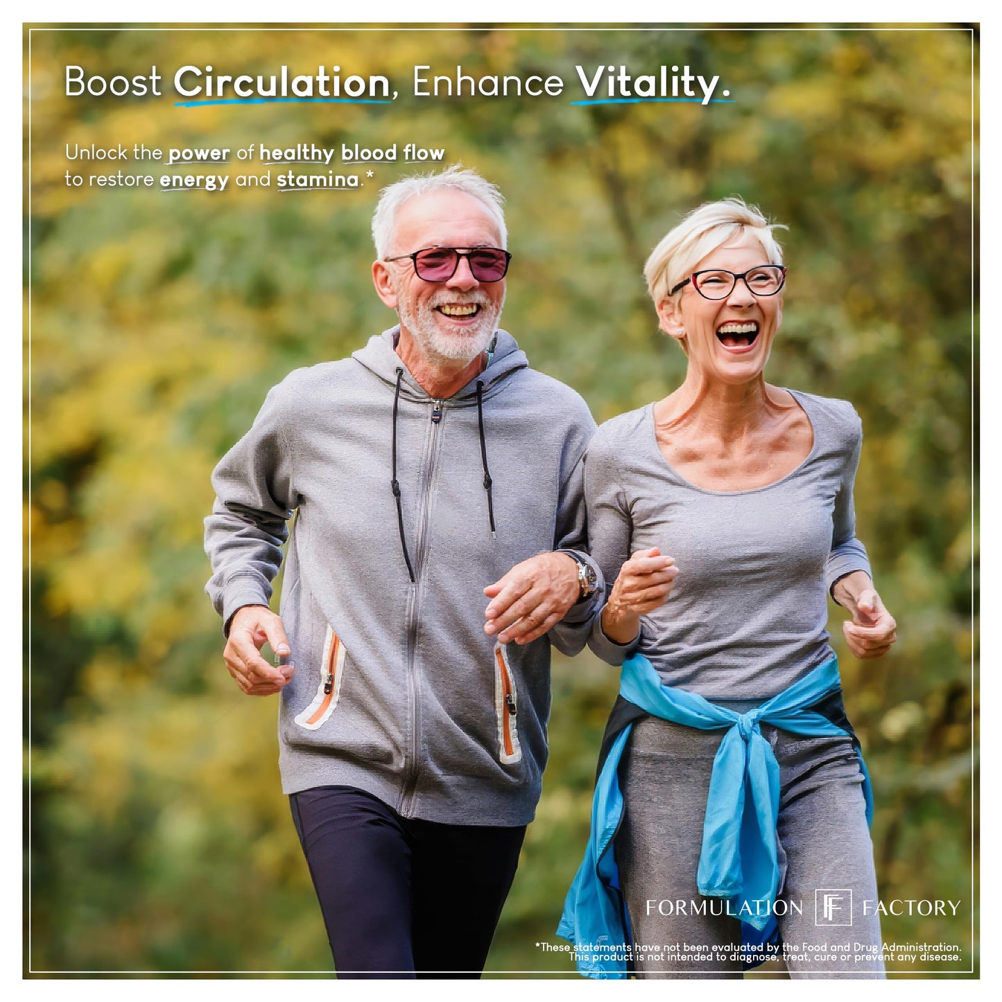 Formulation Factory Heart of Steel: 10-in-1 Metabolic Maximizer Nitric Oxide Supplement, Blood Pressure Support, L Arginine, L Citrulline Natural Pre-Workout: Energy Management 120 Count - Medaid International