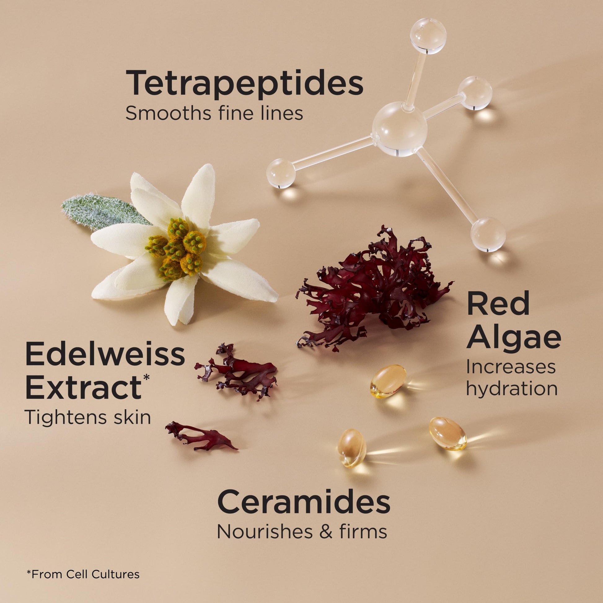 Elizabeth Arden Advanced Ceramide Lift and Firm Face Cream, Hydrating Moisturizer for Night, Infused with Peptides, 1.7 Oz - Medaid International