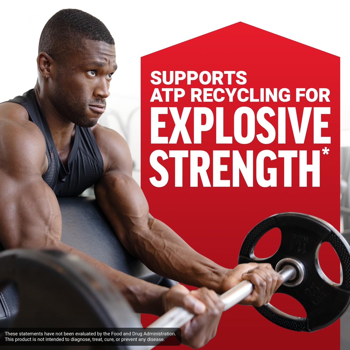 Force Factor Creatine Monohydrate Powder (1KG), 5g Micronized Dose to Support Muscle Growth, Strength, Recovery, Cognitive Health & Memory, Unflavored, 200 Servings - Medaid International