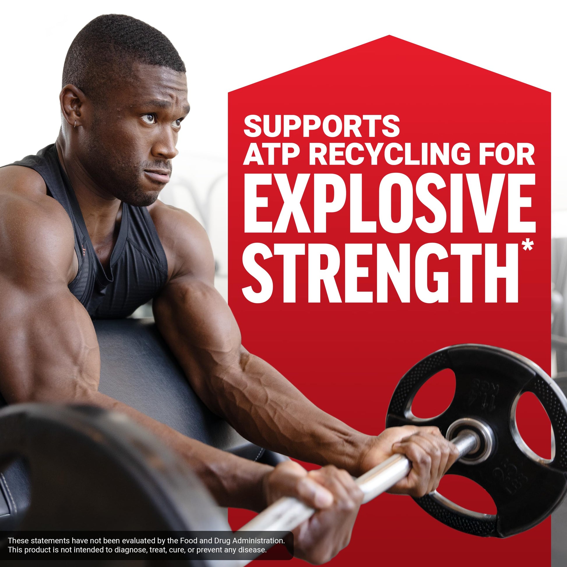 Force Factor Creatine Monohydrate Powder (1KG), 5g Micronized Dose to Support Muscle Growth, Strength, Recovery, Cognitive Health & Memory, Unflavored, 200 Servings - Medaid International