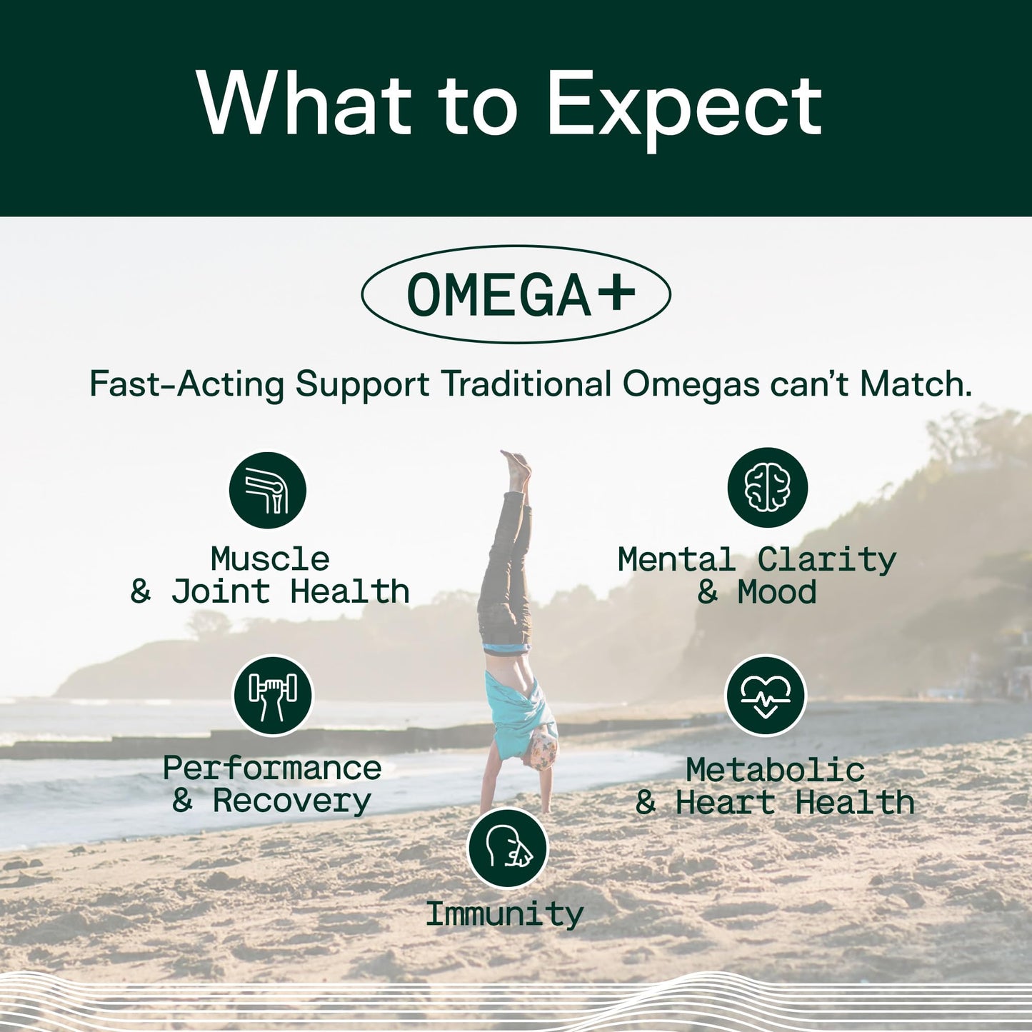 Adapt Naturals Omega 3 Fish Oil Supplement with Bioavailable Curcumin & Black Seed, 1500mg Fish Oil EPA DHA Omega 3 Fatty Acids to Support Joints, Muscles & Heart | Unflavored - 30 Days Supply - Medaid International