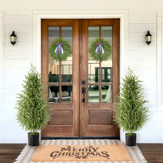 Christmas Decorations - Outdoor Christmas Tree - 2 Pack 3FT Artificial Norfolk Pine Tree - Xmas Decor for Home Indoor Outdoor Entryway Party Living Room Office Porch - Medaid International