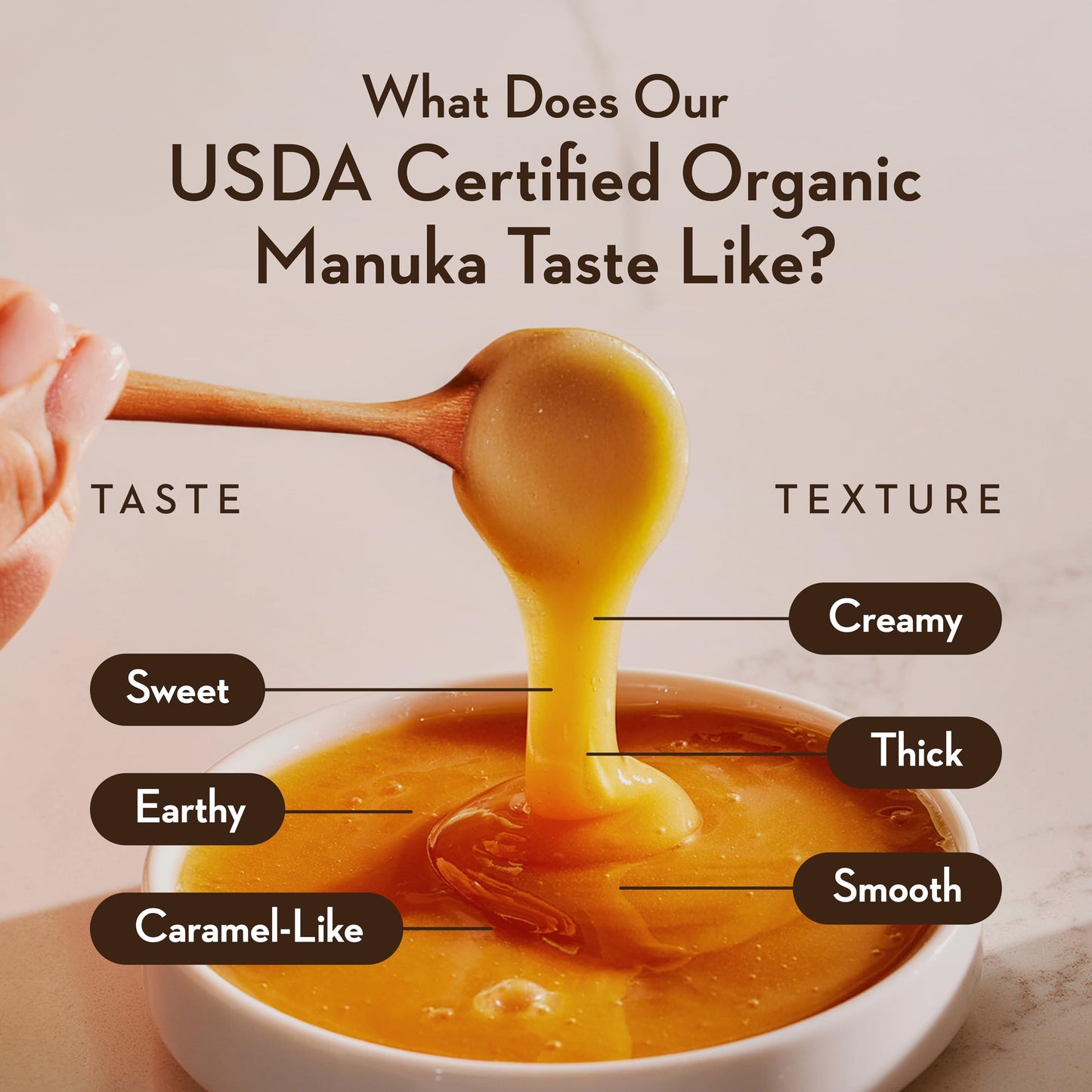 Wedderspoon Raw Premium USDA Certified Organic Manuka Honey, 50+ MGO, 8.8 Oz, Unpasteurized New Zealand Honey, From Our Hives to Your Home - Medaid International