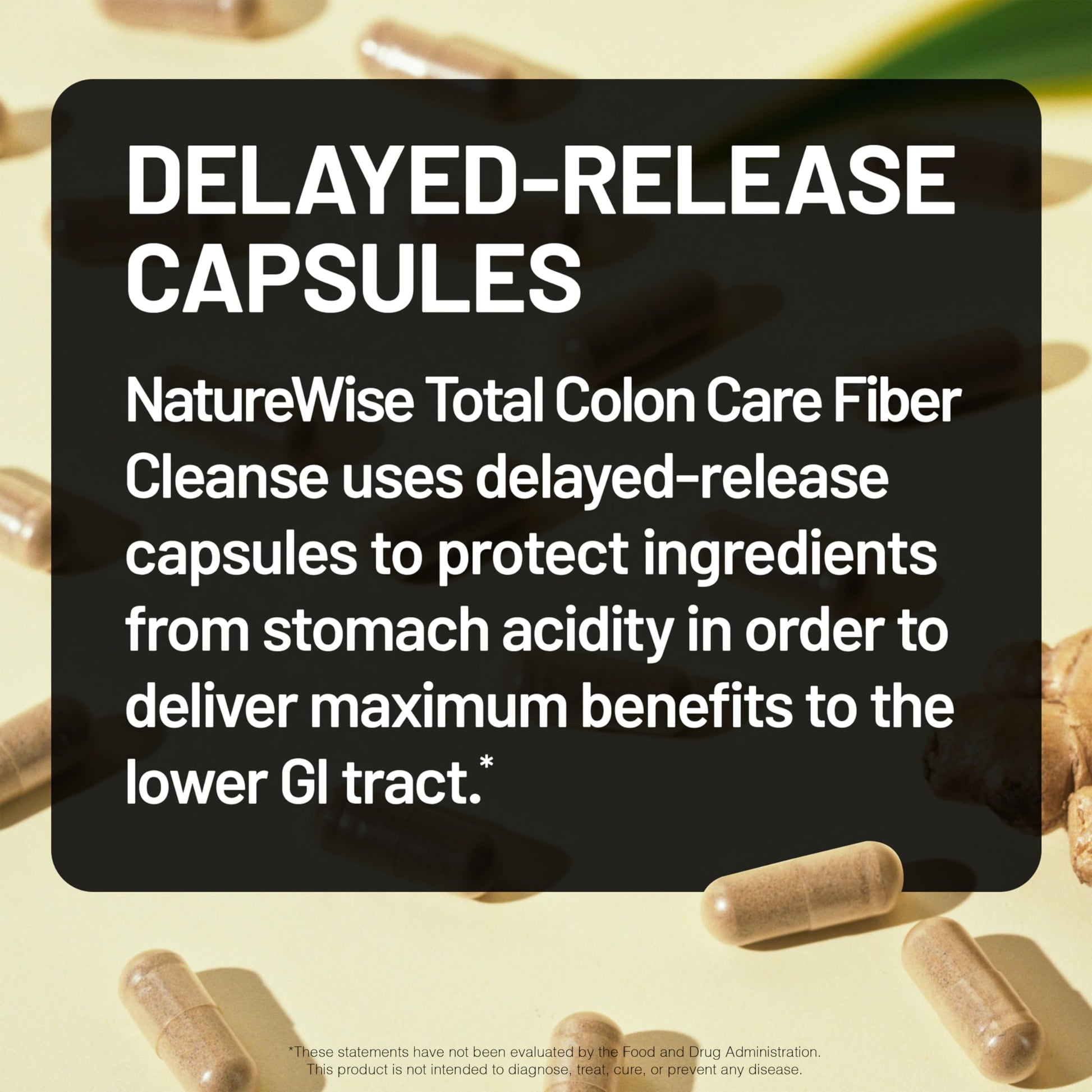 NatureWise Total Colon Care Fiber Cleanse - Natural Laxative Blend - Herbal Laxatives, Prebiotics, & Enzymes for Regularity, Digestion, Weight & Gut Health - Non-GMO - 60 Capsules[30-Day Supply] - Medaid International