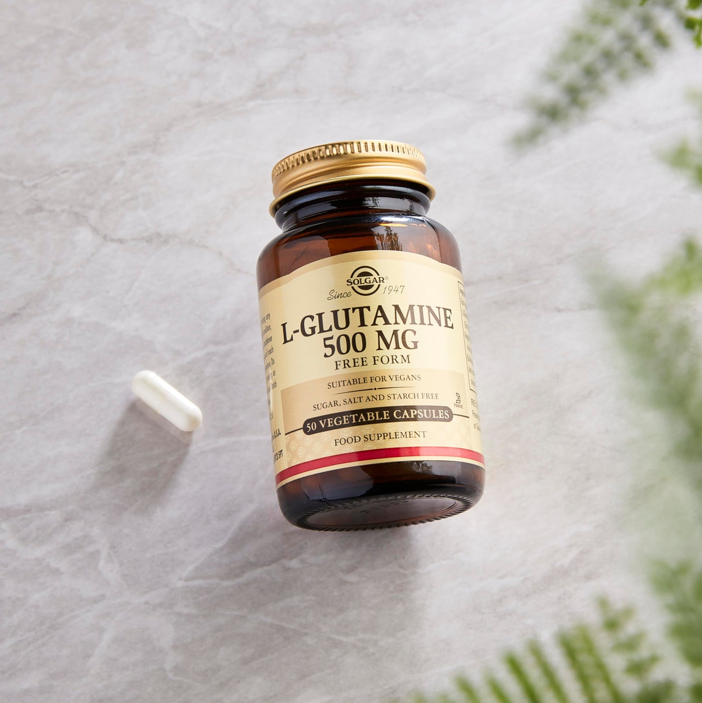 Solgar L-Glutamine 500 mg, 50 Vegetable Capsules - Natural Muscle Food - Promotes Gastrointestinal (GI) Health - Supports Brain Health - Non-GMO, Vegan, Gluten Free, Dairy Free, Kosher - 16 Servings - Medaid International