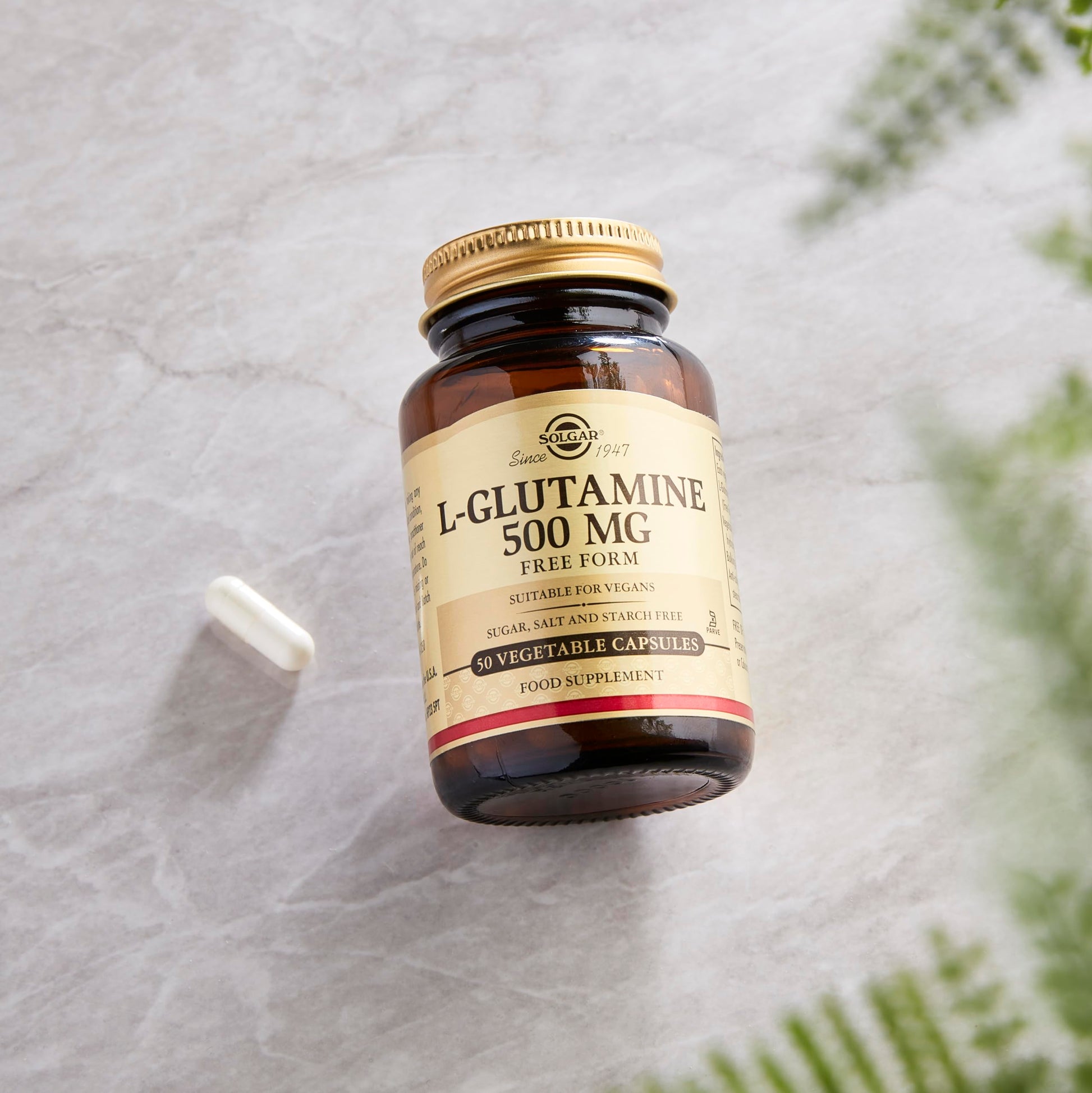 Solgar L-Glutamine 500 mg, 50 Vegetable Capsules - Natural Muscle Food - Promotes Gastrointestinal (GI) Health - Supports Brain Health - Non-GMO, Vegan, Gluten Free, Dairy Free, Kosher - 16 Servings - Medaid International