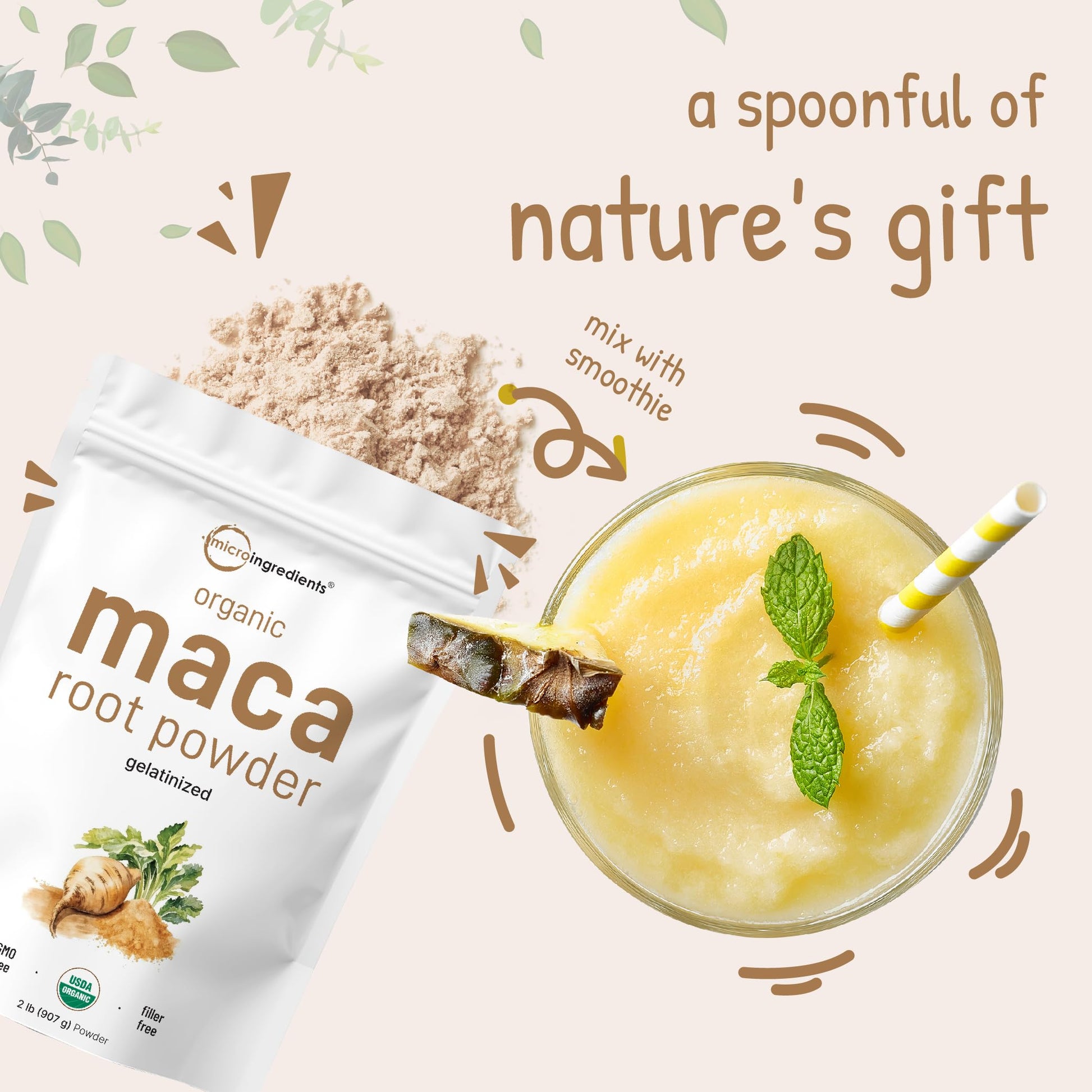 Organic Maca Root Powder, 2 Pound, Gelatinized for Better Absorption, Rich in Antioxidants, Help Energy, Stamina, Endurance, Strength and Immune System, No GMOs, Vegan Friendly and Peru Origin - Medaid International