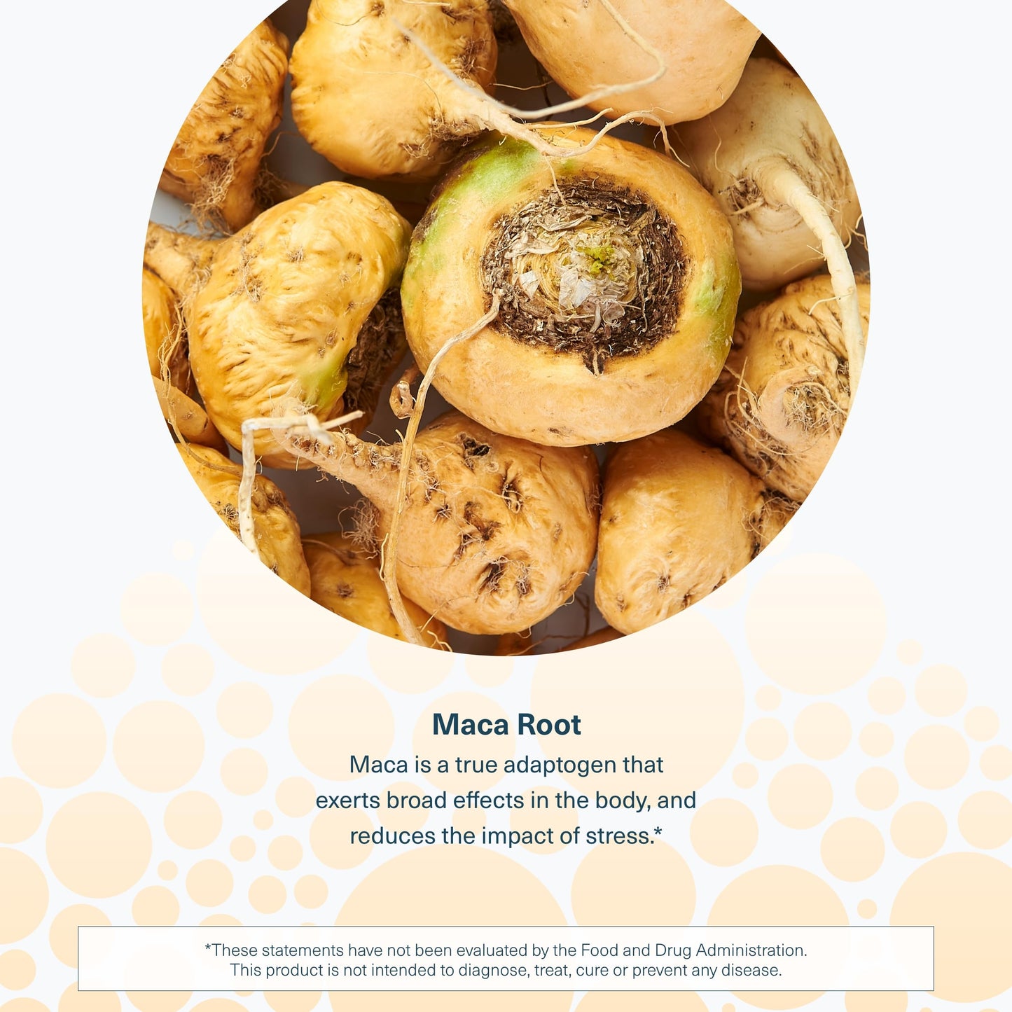 Youtheory Women's Maca Root - Vegan Energy & Menopause Support Supplement with Peruvian Ginseng* - Premium Supplement for Women - Dairy, Soy & Gluten Free - 120 Vegetarian Capsules - Medaid International