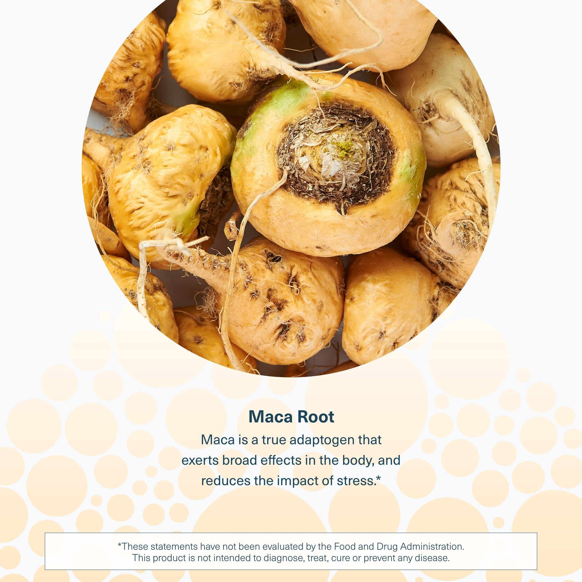 Youtheory Women's Maca Root - Vegan Energy & Menopause Support Supplement with Peruvian Ginseng* - Premium Supplement for Women - Dairy, Soy & Gluten Free - 120 Vegetarian Capsules - Medaid International