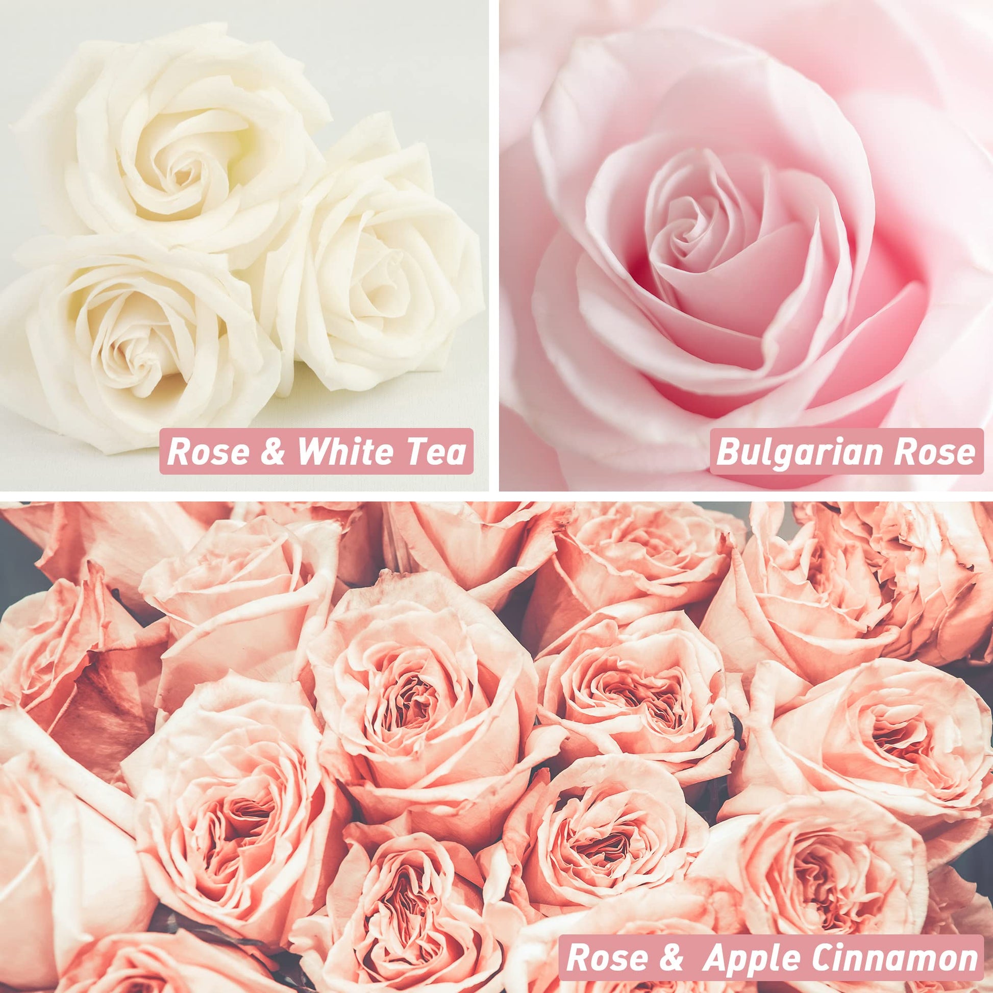 Rose Fragrance Oil, ESSLUX Premium Floral Scented Oils for Diffuser, Soap Candle Making Scents, Rose Essential Oils Gift Set for Home Fragrance - Bulgarian Rose, Black Rose & Oud, Rock Rose and More - Medaid International