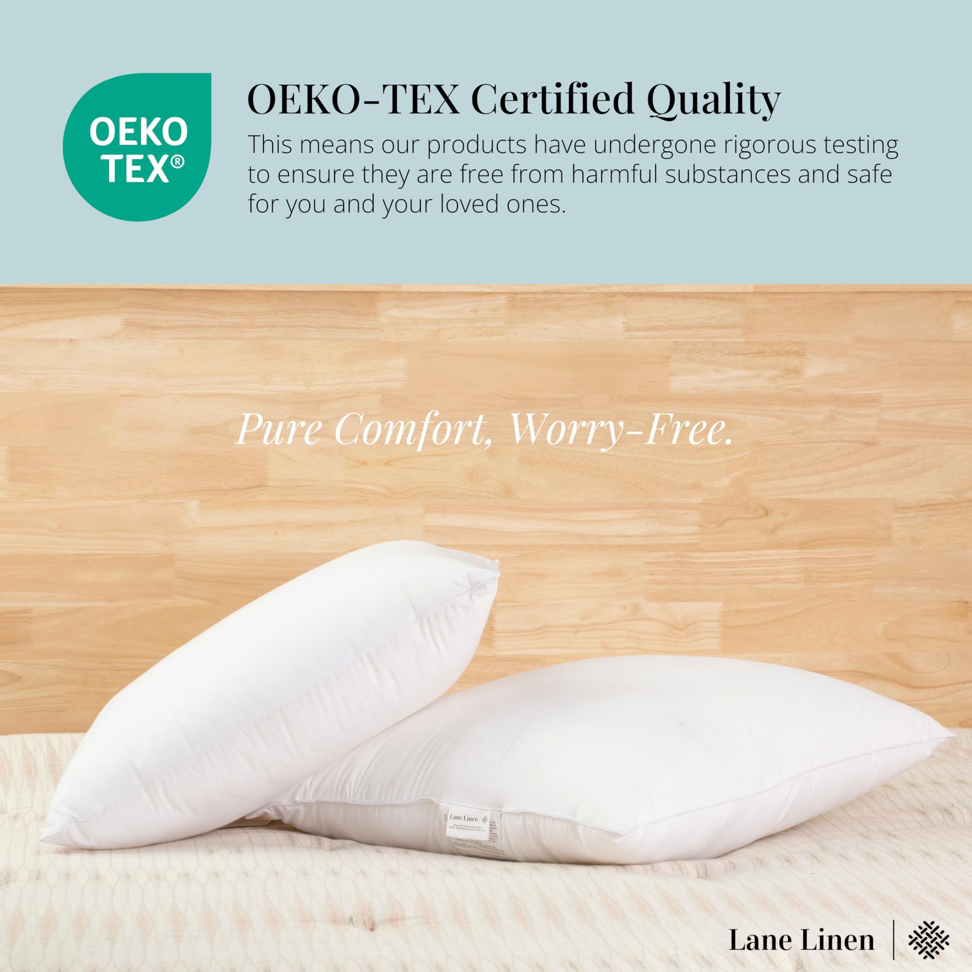 LANE LINEN 22x22 Pillow Insert - Pack of 2 White Decorative Pillow for Sofa Bed, Fluffy Inserts for Throw Pillows Covers for Bed,Euro Couch Pillows for Living Room - Medaid International