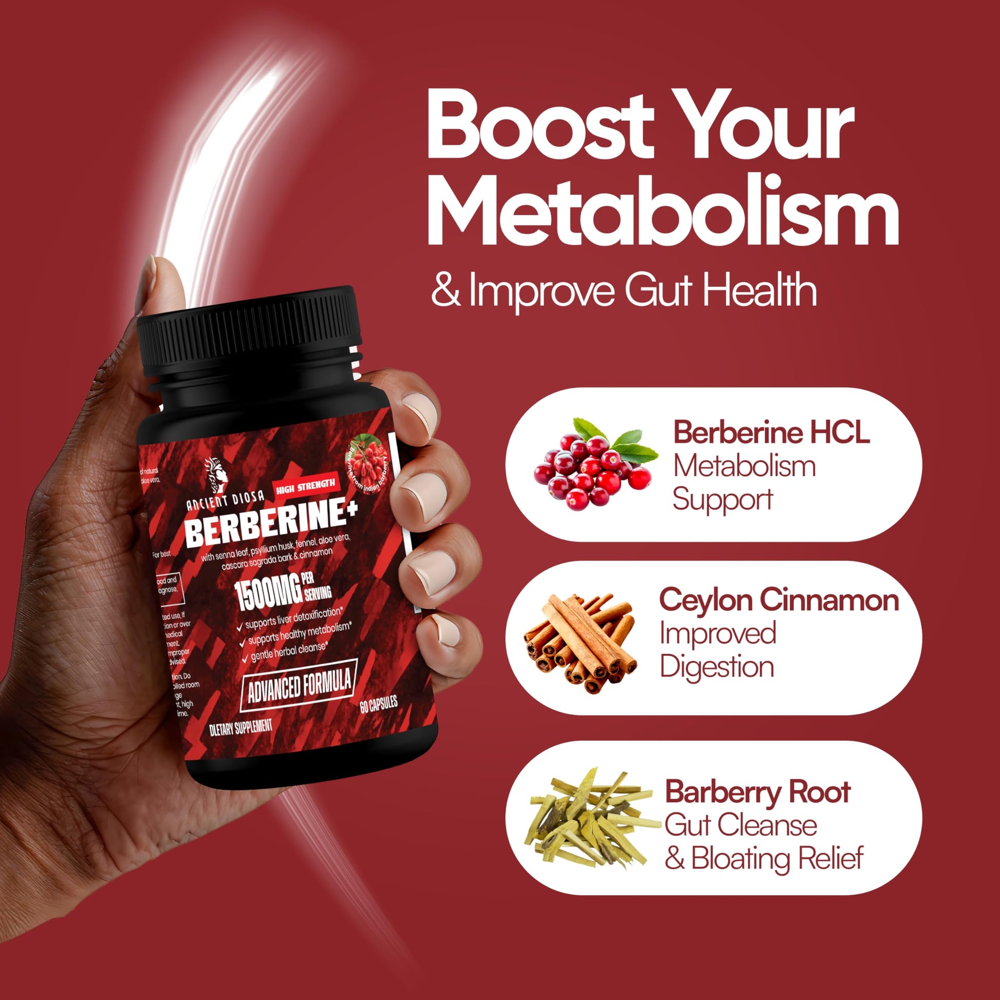 ANCIENT DIOSA Berberine Supplement, 60 Capsules 30-Day Supply - Berberine with Ceylon Cinnamon Bark, Senna Leaf and Psyllium Husk - Supports Liver Detoxification, Gut Health, Digestion and Bloating - Medaid International