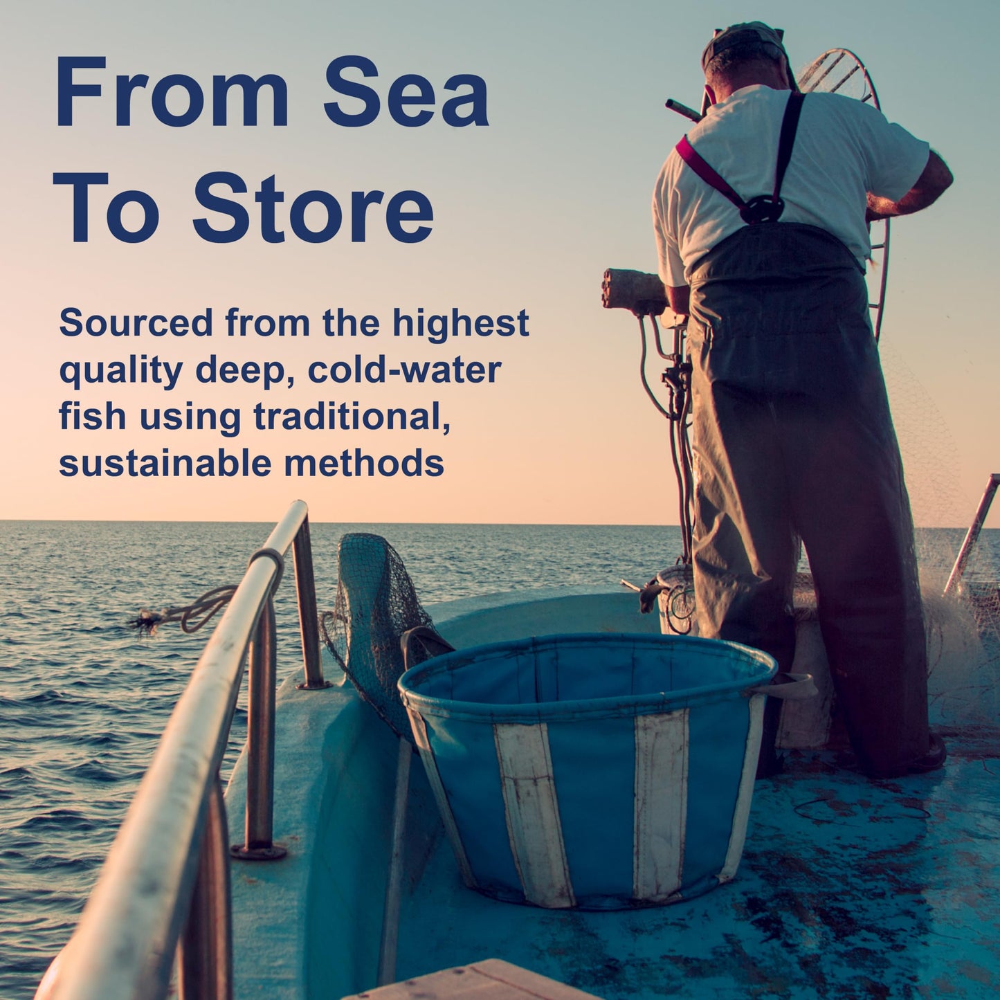 Carlson - Elite Omega-3 Gems,1600 mg Omega-3 Fatty Acids Including EPA and DHA,Norwegian, Wild-Caught fish oil Supplement,Sustainably Sourced Capsules, Lemon, 90+30 Softgels - Medaid International