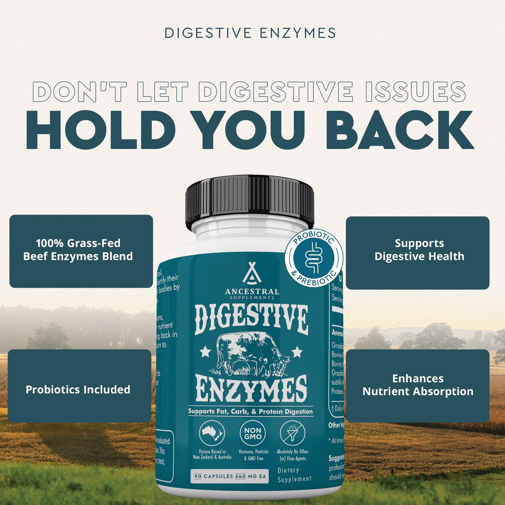 Ancestral Supplements Digestive Enzymes for Women & Men, 90 Capsules, with Probiotics and Grass Fed Beef Organs, Supports Gut Health, Digestive Health & Nutrient Absorption, Allergen Free, Non GMO - Medaid International