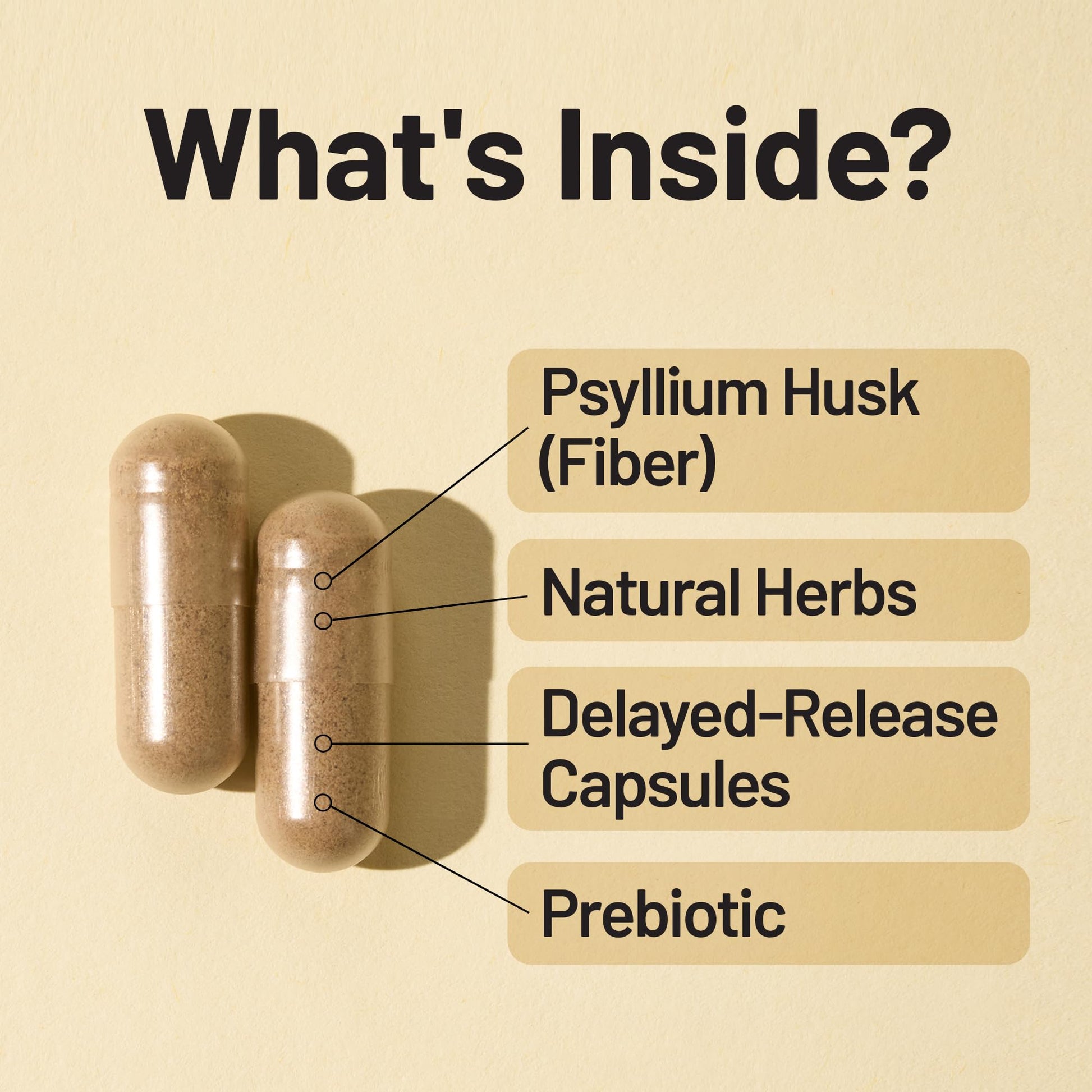 NatureWise Total Colon Care Fiber Cleanse - Natural Laxative Blend - Herbal Laxatives, Prebiotics, & Enzymes for Regularity, Digestion, Weight & Gut Health - Non-GMO - 60 Capsules[30-Day Supply] - Medaid International