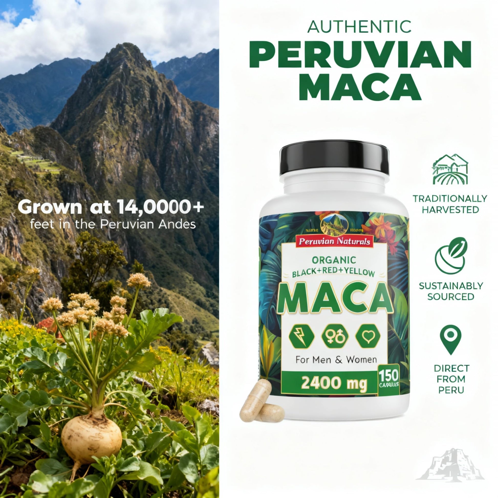 Organic Maca Root Capsules for Women & Men 2400mg per Serving - 150 Pills Black, Red, Yellow Maca Supplement - Gelatinized Macaroot, Non-GMO, Vegan by Peruvian Naturals - Medaid International
