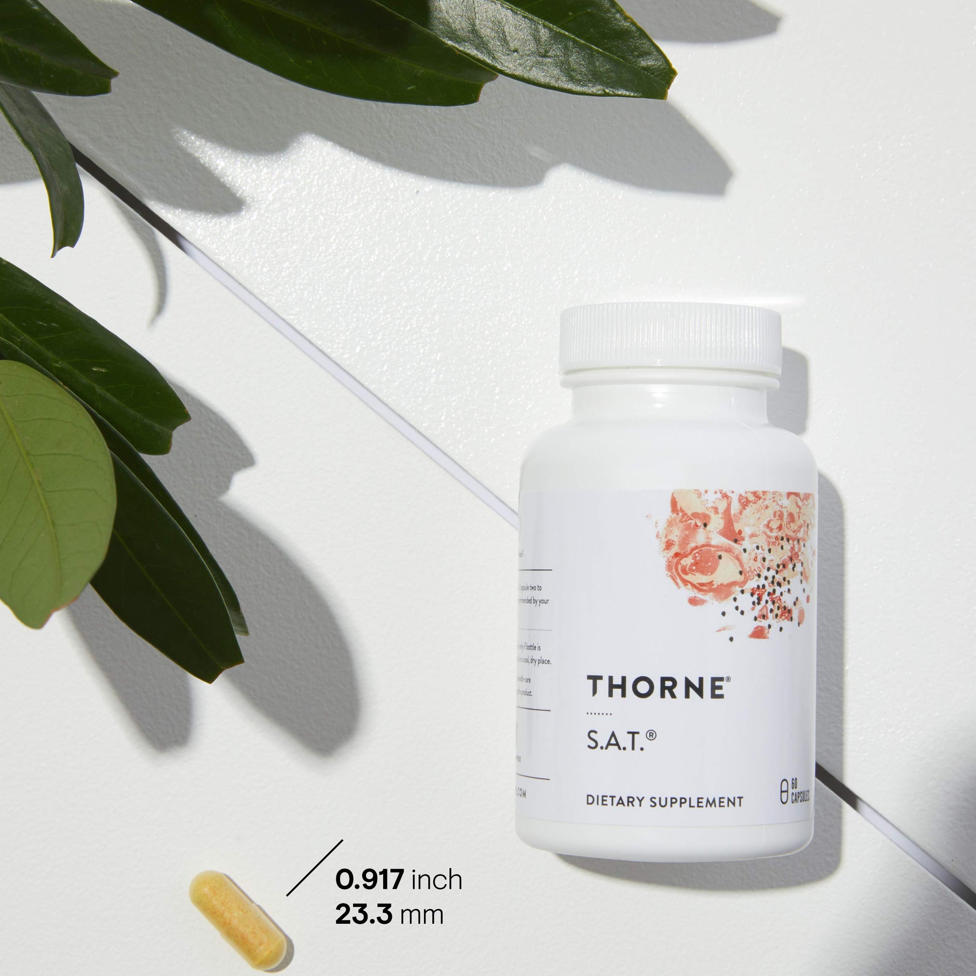 THORNE - S.A.T. - Milk Thistle Complex with Silymarin, Artichoke, and Turmeric Extracts for Liver Support* - Soy, Gluten & Dairy Free - 60 Capsules - Medaid International