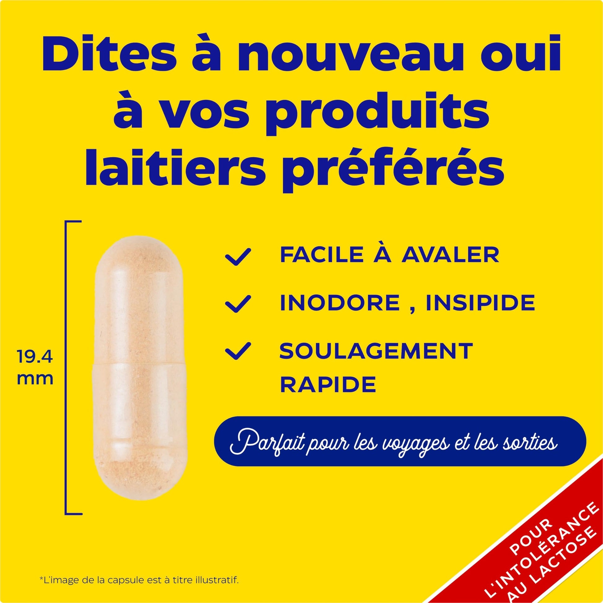 Enzymedica, Lacto, Formule Enzymatique Pour L'Intolérance Au Lactose Et À La Caséine, Indiqué Contre La Contamination Croisée, Sans Gluten, Sans Produits Laitiers, Végétalien, 90 Capsules - Medaid International