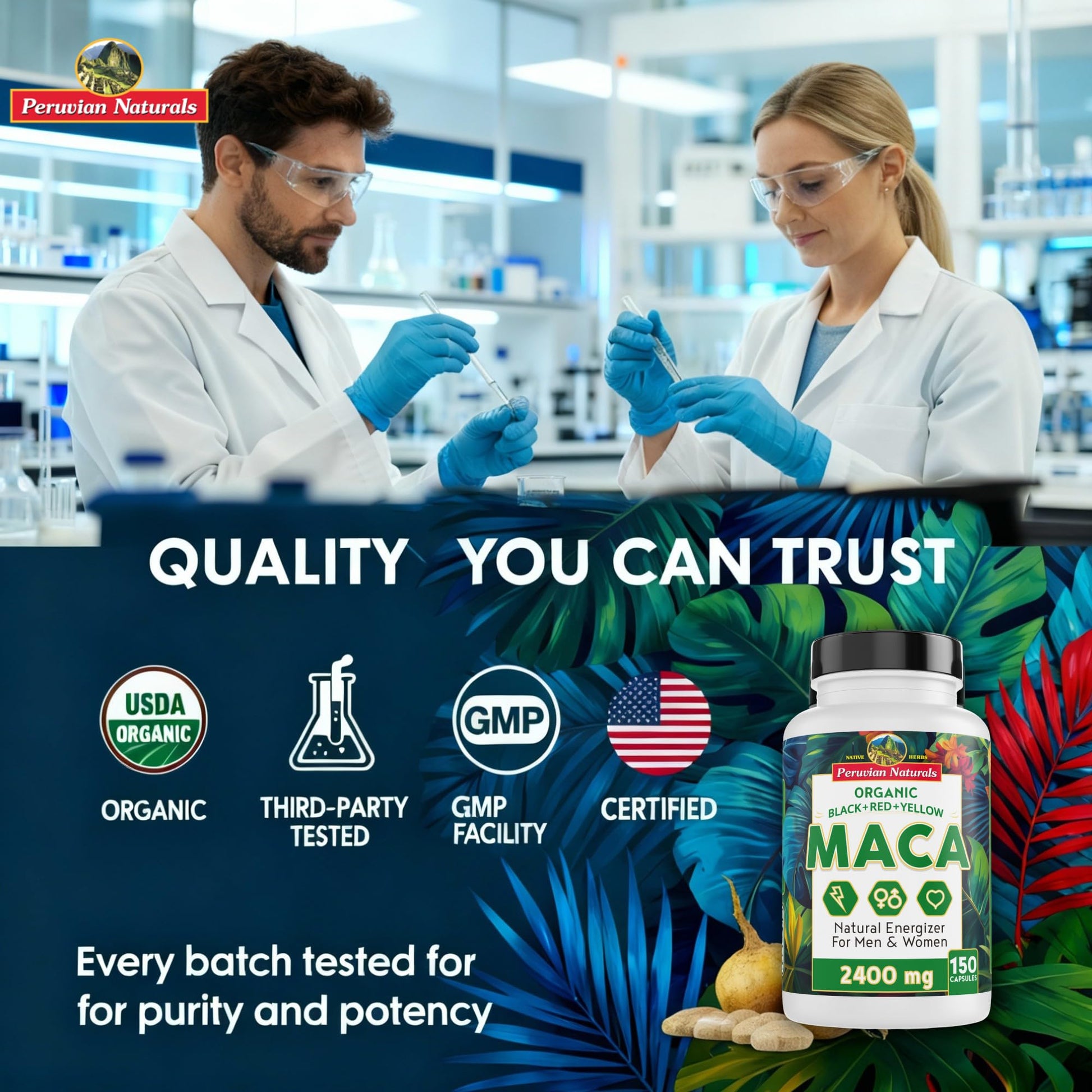 Organic Maca Root Capsules for Women & Men 2400mg per Serving - 150 Pills Black, Red, Yellow Maca Supplement - Gelatinized Macaroot, Non-GMO, Vegan by Peruvian Naturals - Medaid International