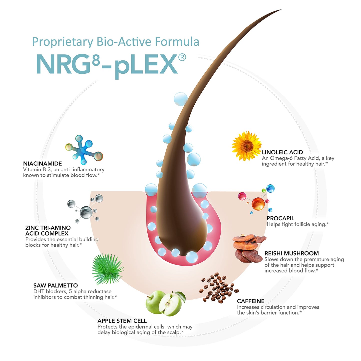 Hairmax Acceler8 Hair Booster + Nutrients - Topical Hair Regrowth Treatment - Thinning Hair Loss Solution - Advanced Scalp Care - Minimizes Hair Shedding - B Vitamins & Omega 6-4 fl oz - Medaid International