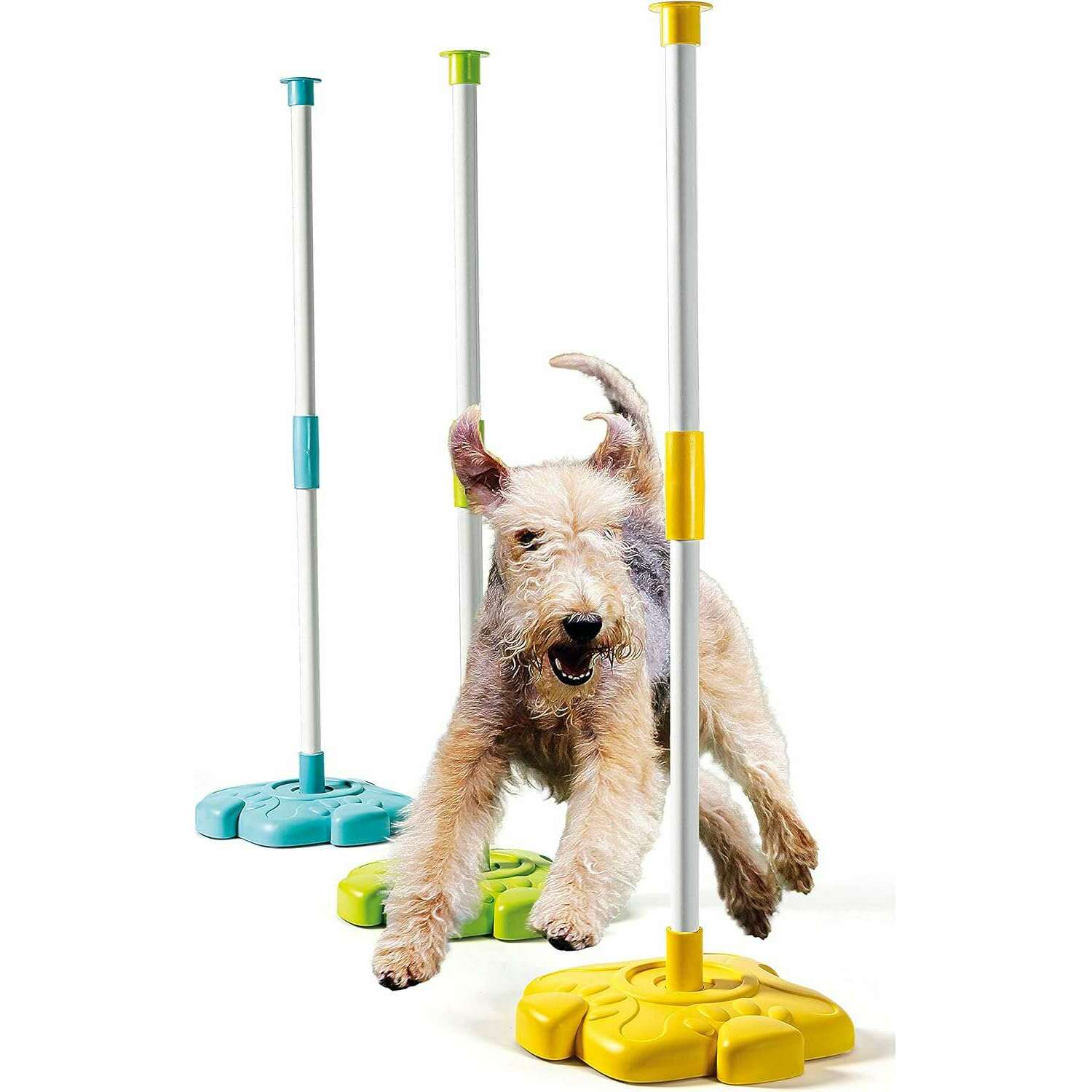 Pet Lab - EN - Medaid International