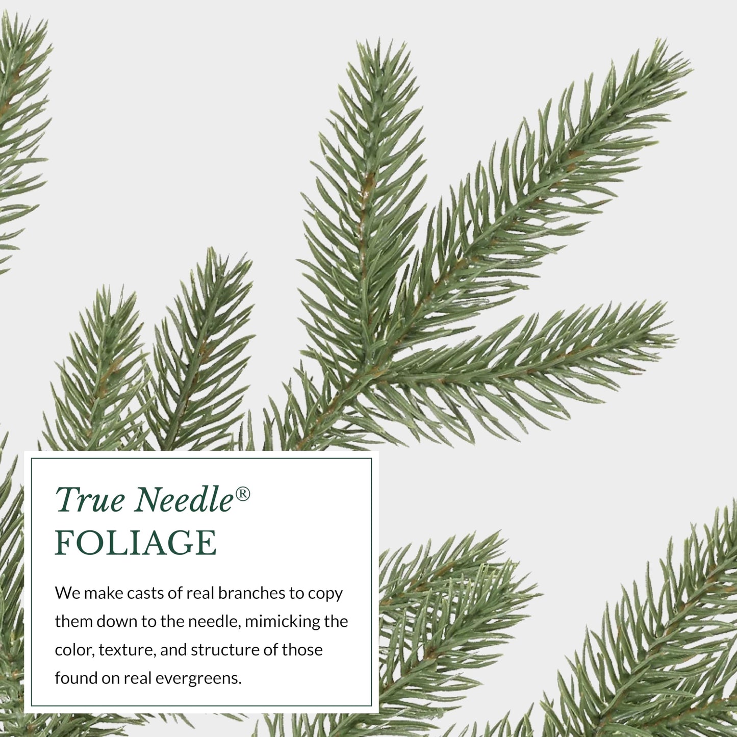 Balsam Hill Stratford Spruce - Slim Artificial Christmas Tree with True Needle Foliage & Premium Stand for Small Spaces, Unlit, 6ft 6in - Medaid International